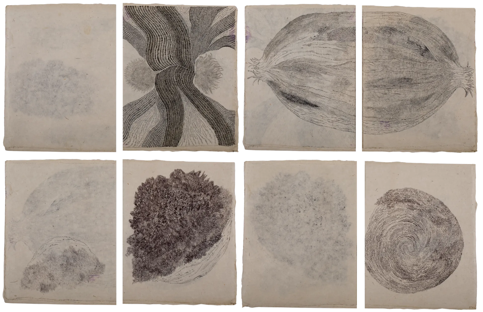 Untitled (Book 2)  by Isha Itwala - Ink on rice paper