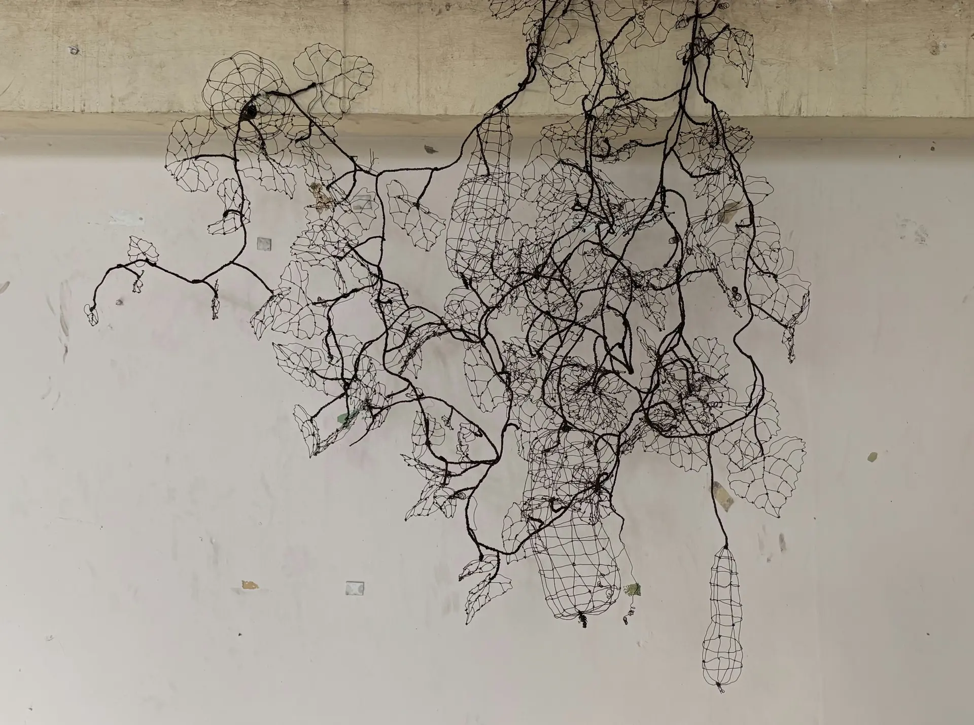 Growing as one by Bandita Talukdar - Binding iron wire