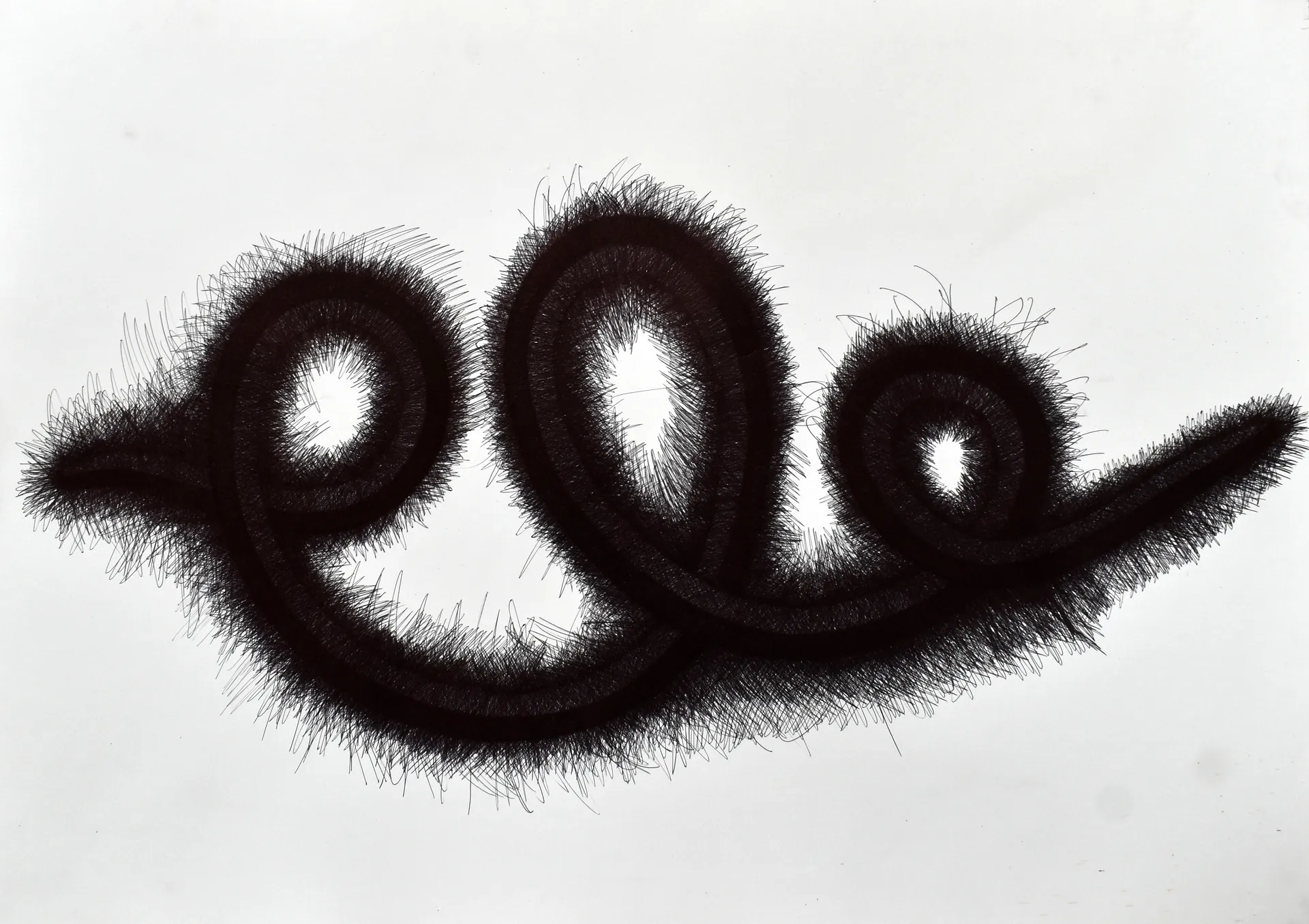 The line remembers by Pramod Jaiswal - Ballpoint pen on acid-free paper