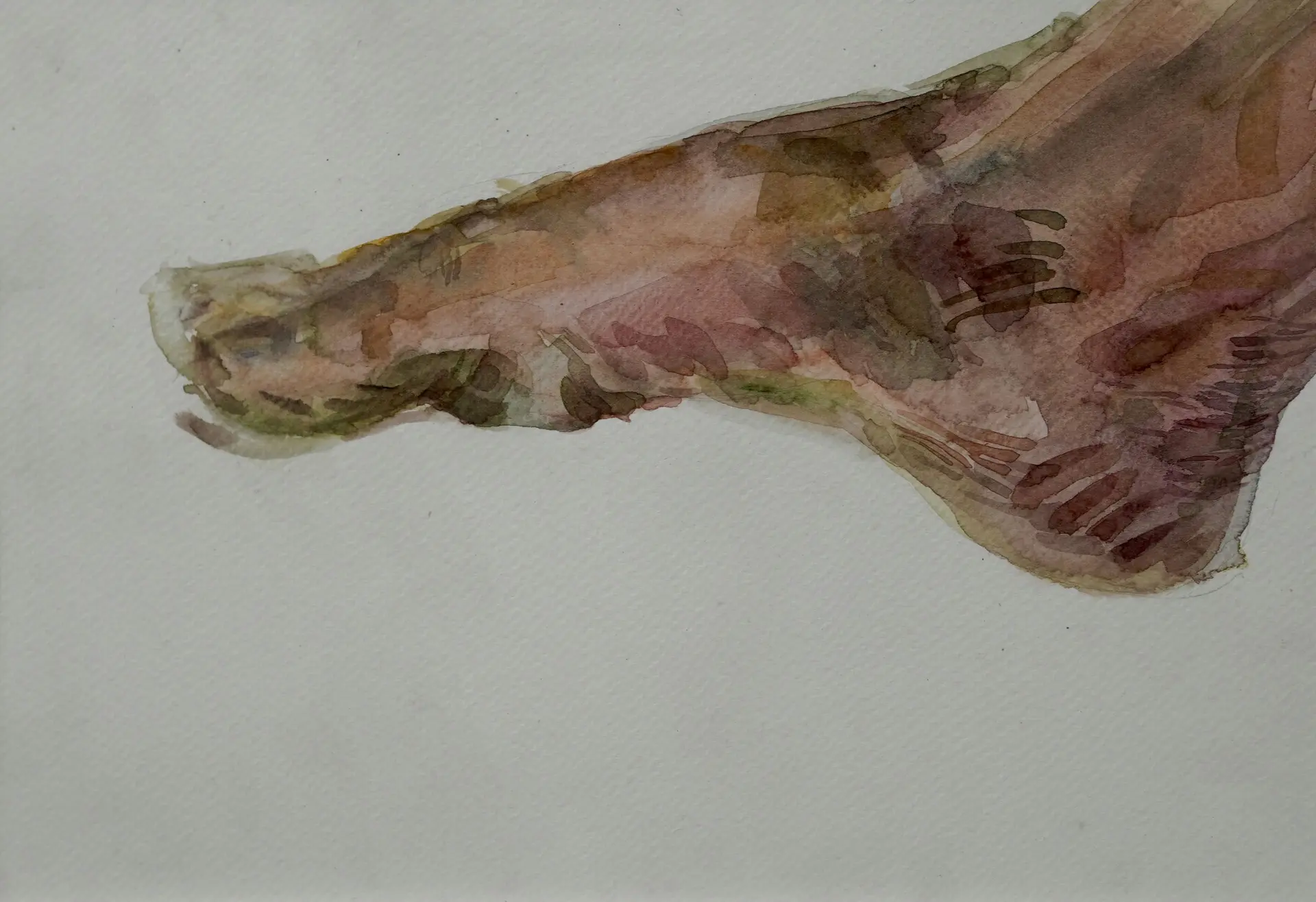 Skin deep, 3 by Jyotismriti Bordoloi - Watercolor on paper