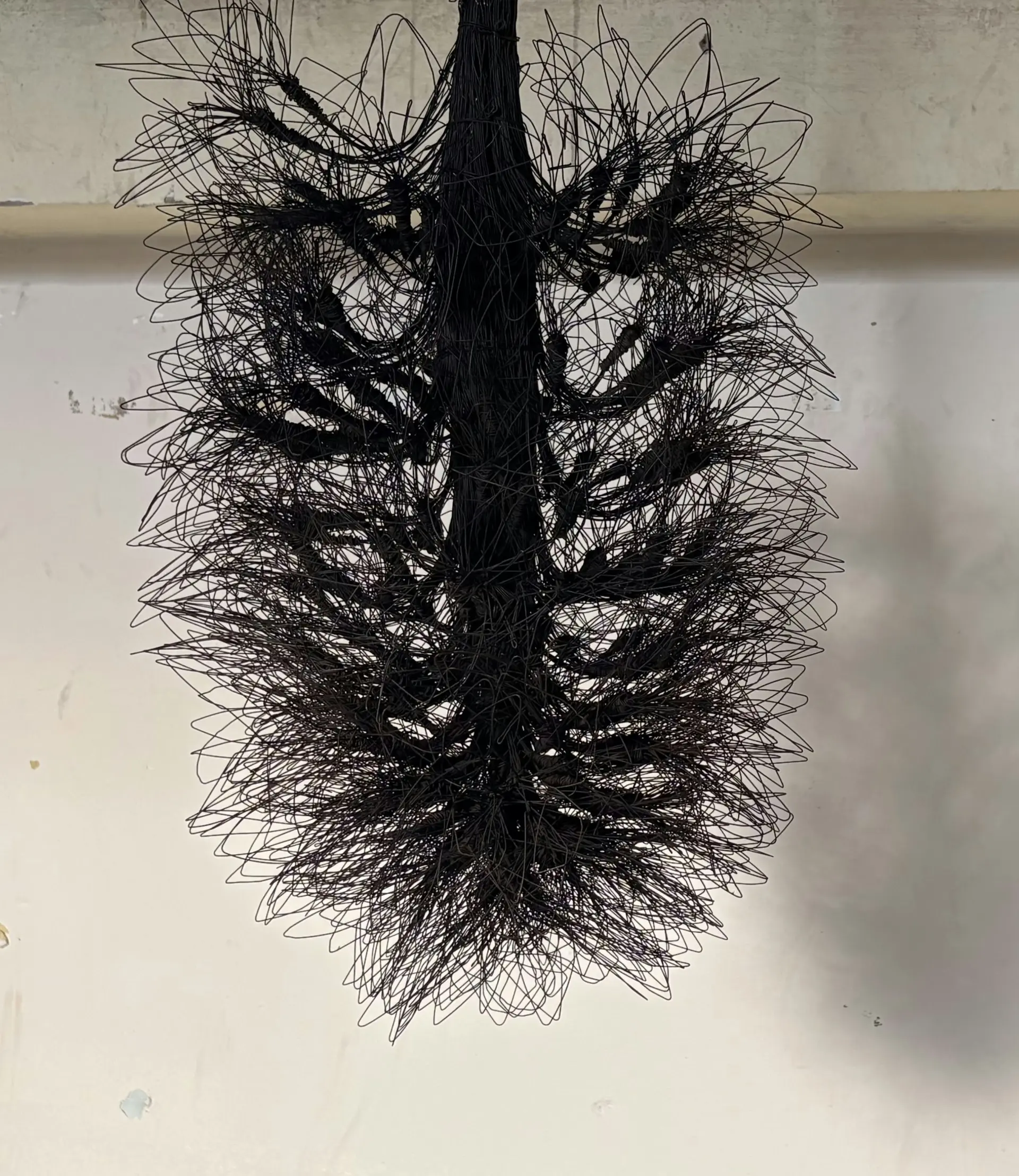 Echoes of bloom by Bandita Talukdar - Binding iron wire