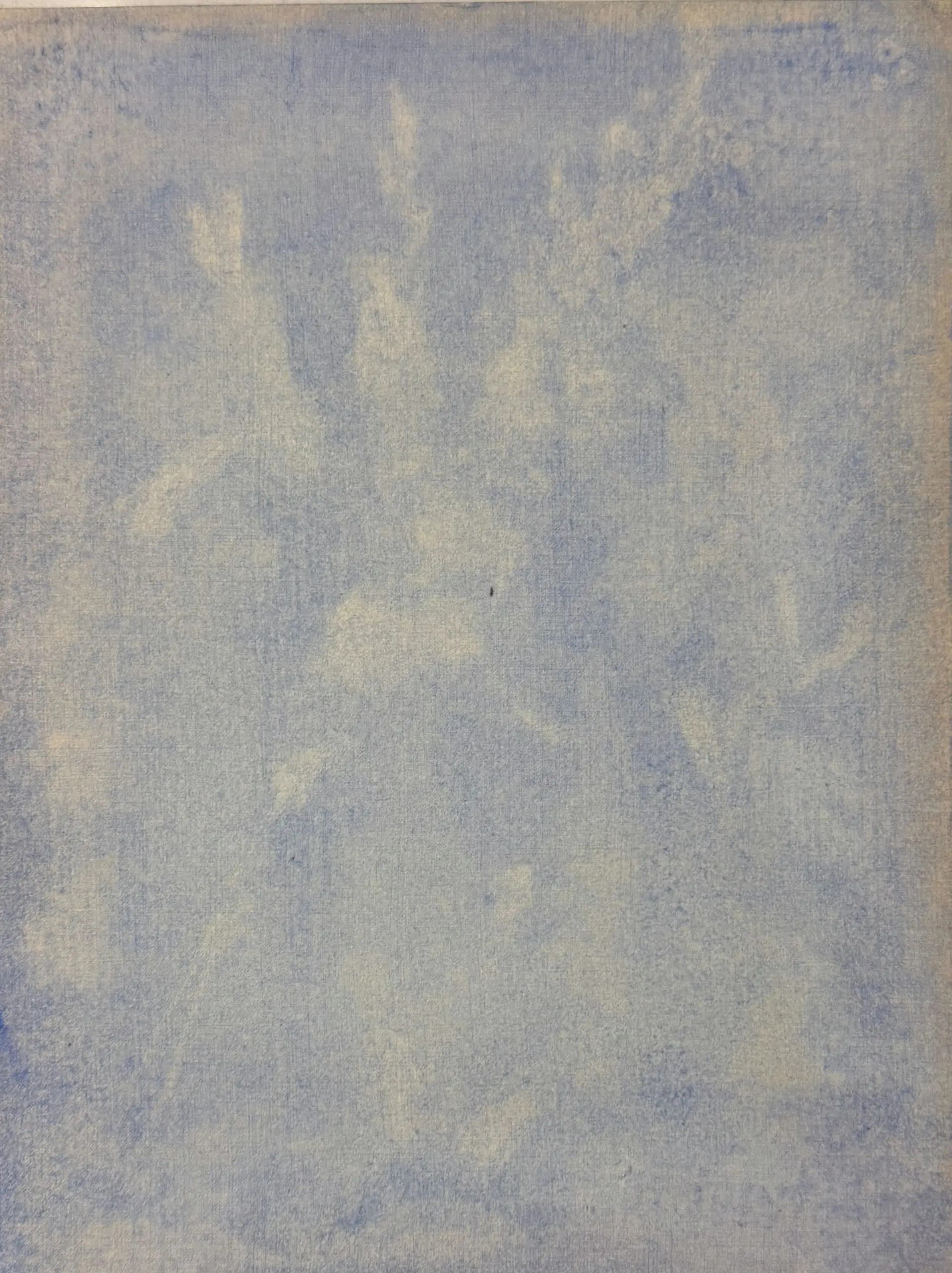 Floral in blue by Shazia Nabeel - Oil and acrylic on paper