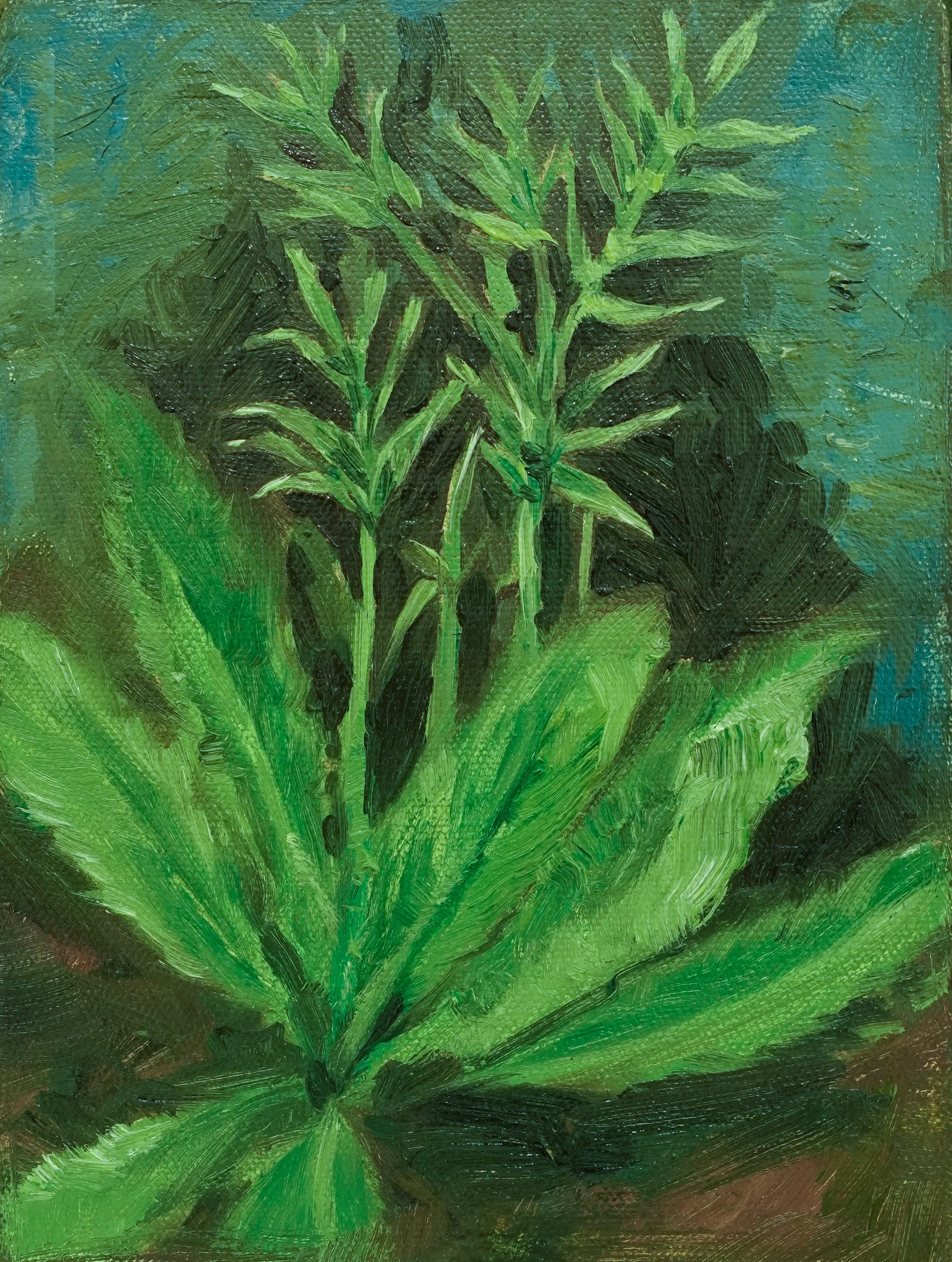 Untitled by Parag Das - Oil on canvas