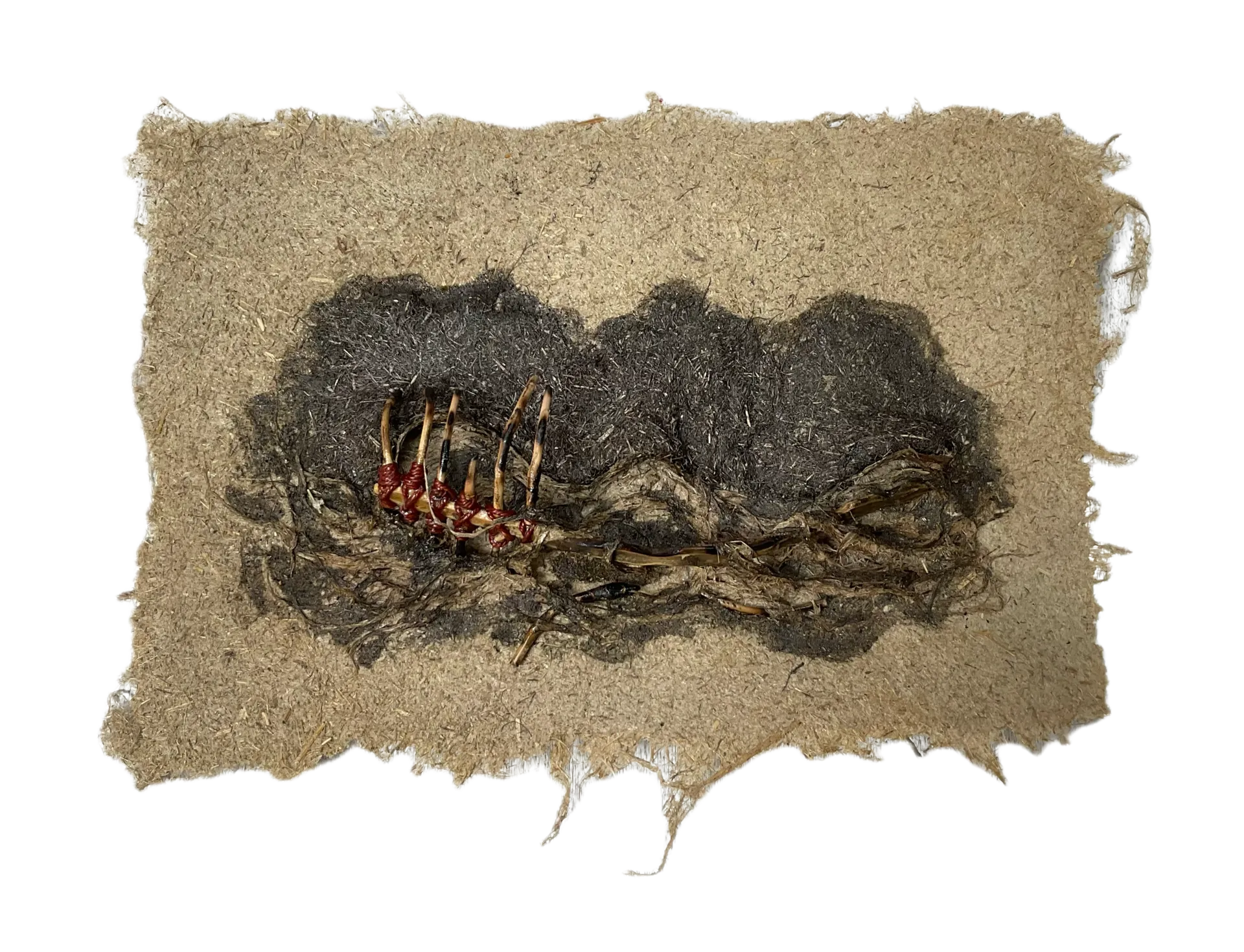 Surface of silence 4 by Manjit Gogoi - Mixed media (water hyacinth pulp, bamboo, fishing thread, water hyacinth roots on water hyacinth paper)