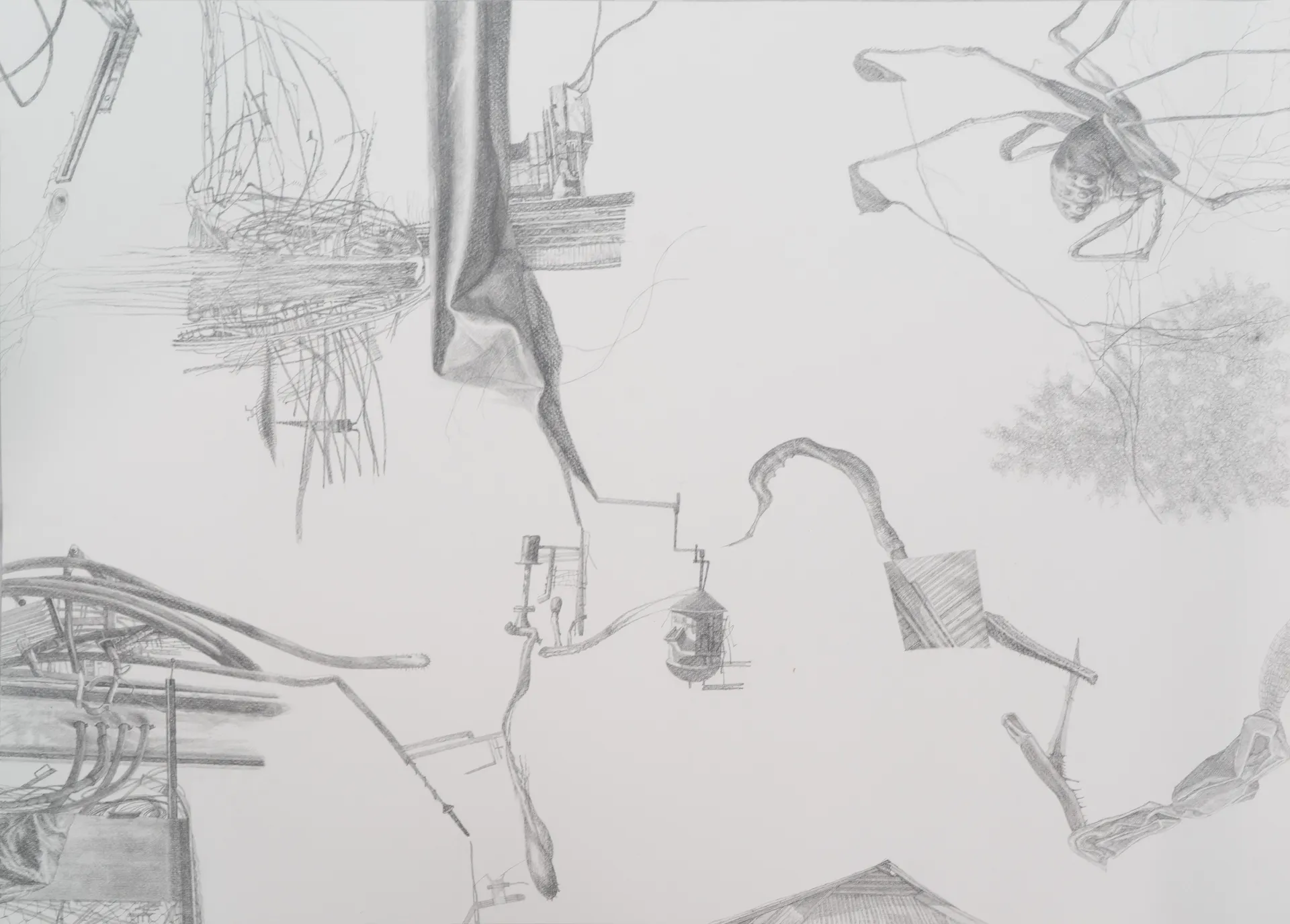 Things I heard 1 by Nabanita Guha - Graphite on Fabriano Paper