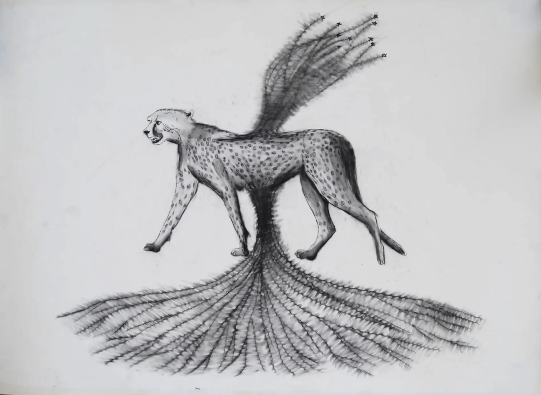 Untitled by Sarika Mehta - Charcoal pencil on Art Spectrum paper