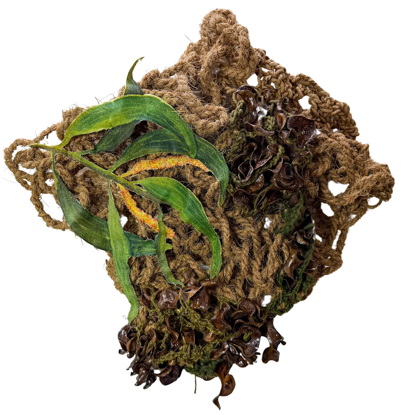 Assemblage IV by Jayita Barai - Sonajhuri tree seedpods, watercolor on cloth, cotton thread (dyed with onion peels and pine cones), coir rope