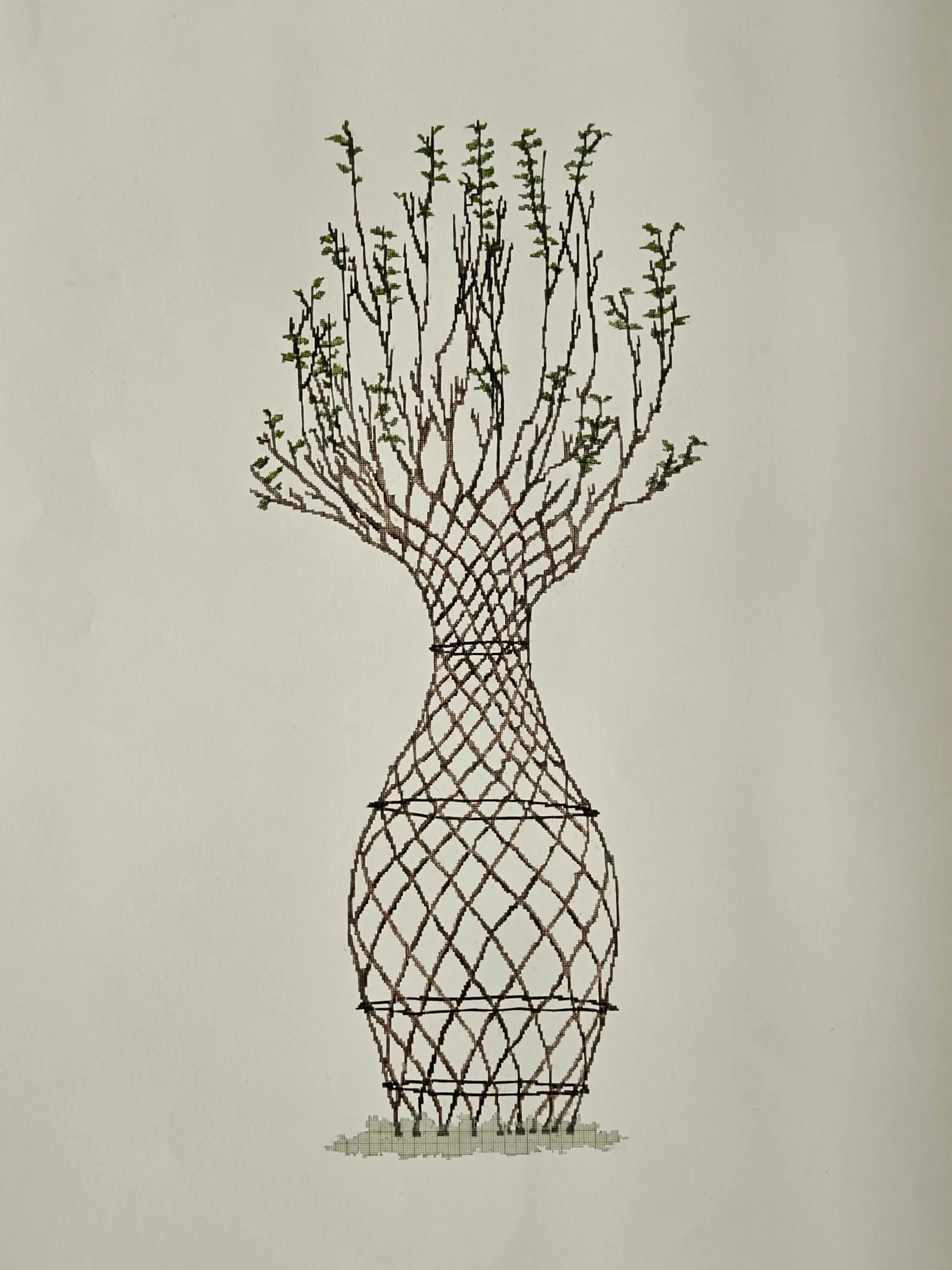 Rootine by Bhavana Parakh - Graph print on gateway sheet and colored pencil on Fabriano Rosaspina paper