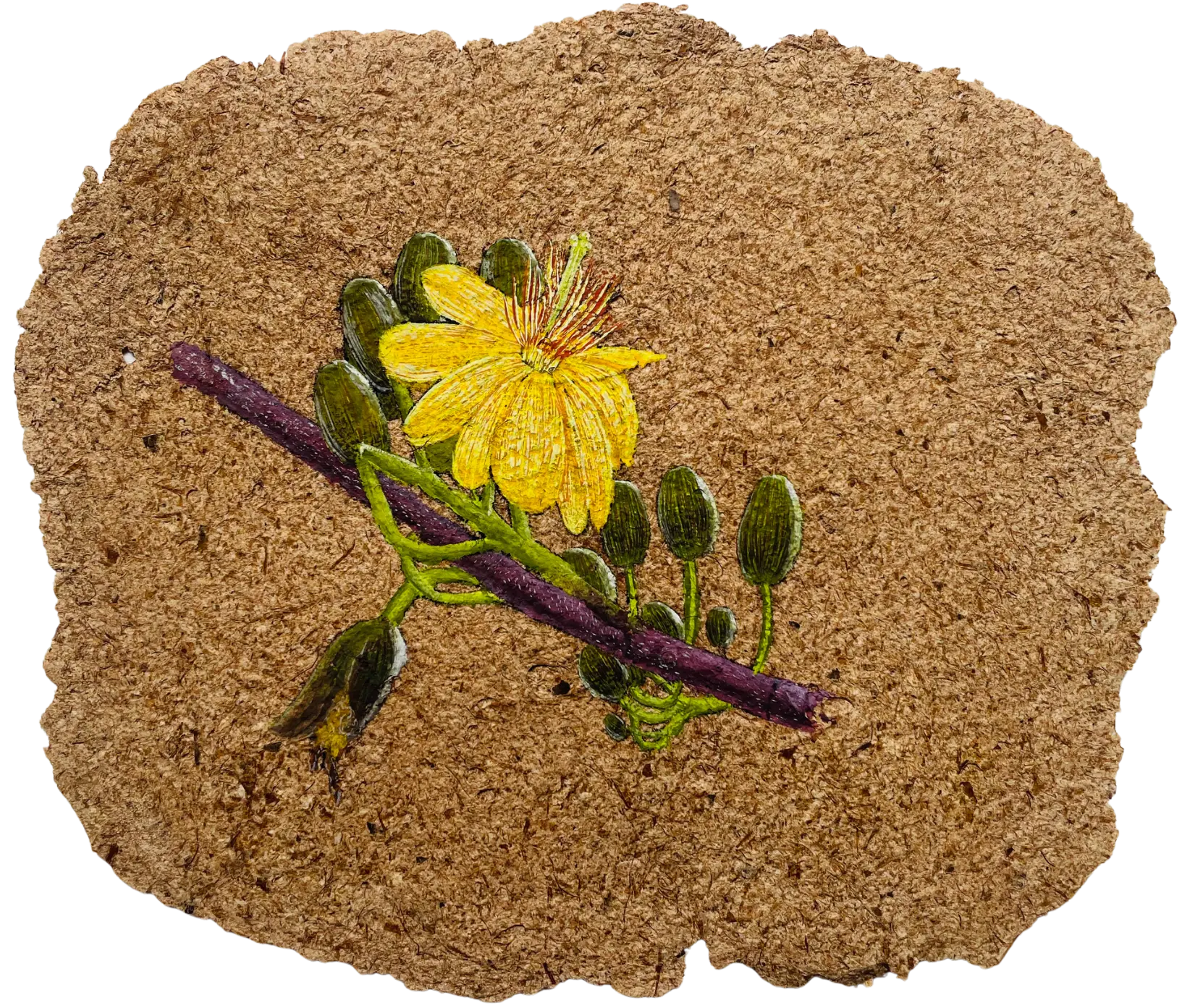 Parchavam-II, ਪਰਛਾਵਾਂ-II, 1 by Gurdeep Brar - Gouache on artist-made paper with dried flowers