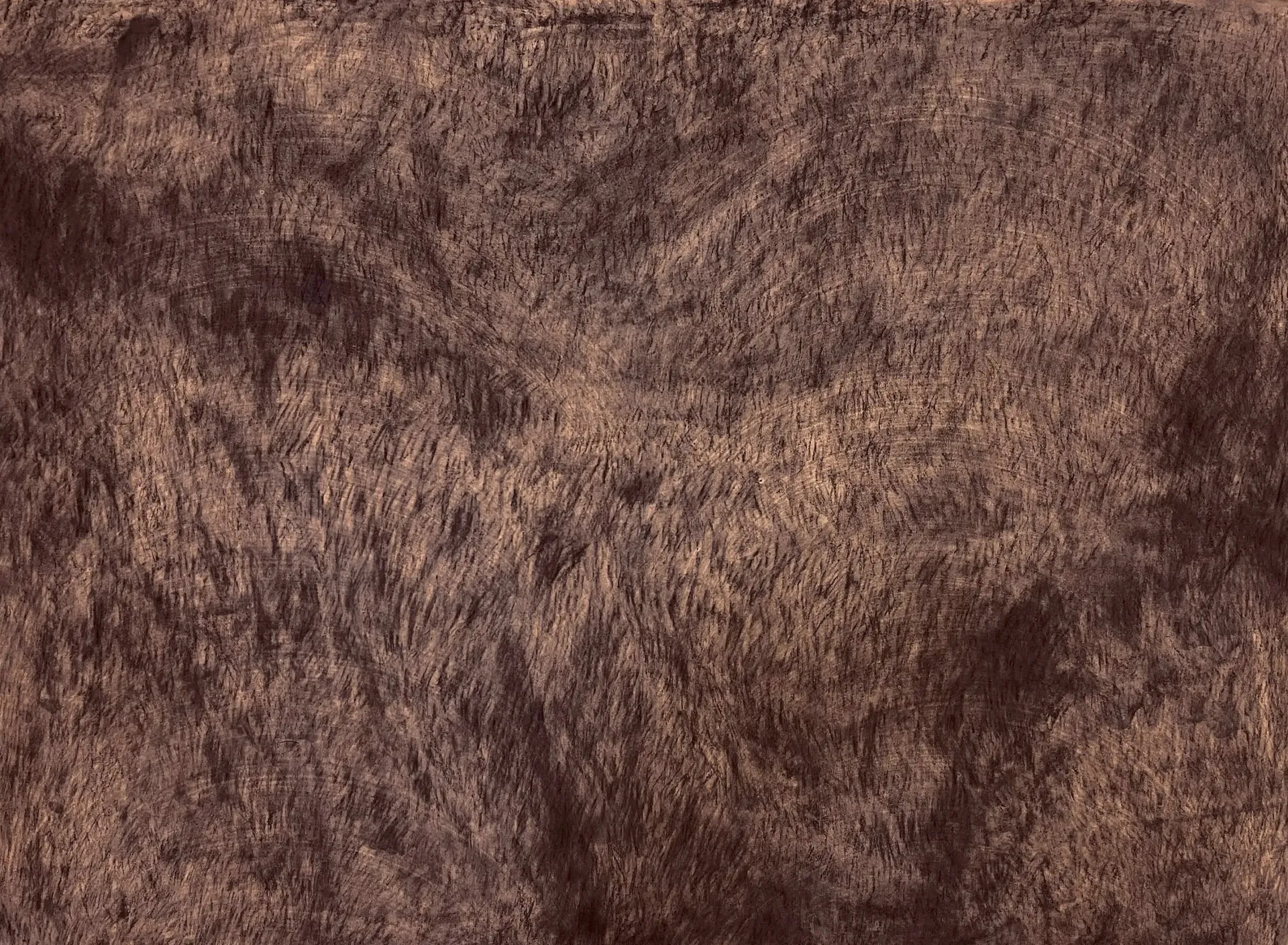 Dry field - I by Sewali Deka - Mud, natural colour, and charcoal on canvas