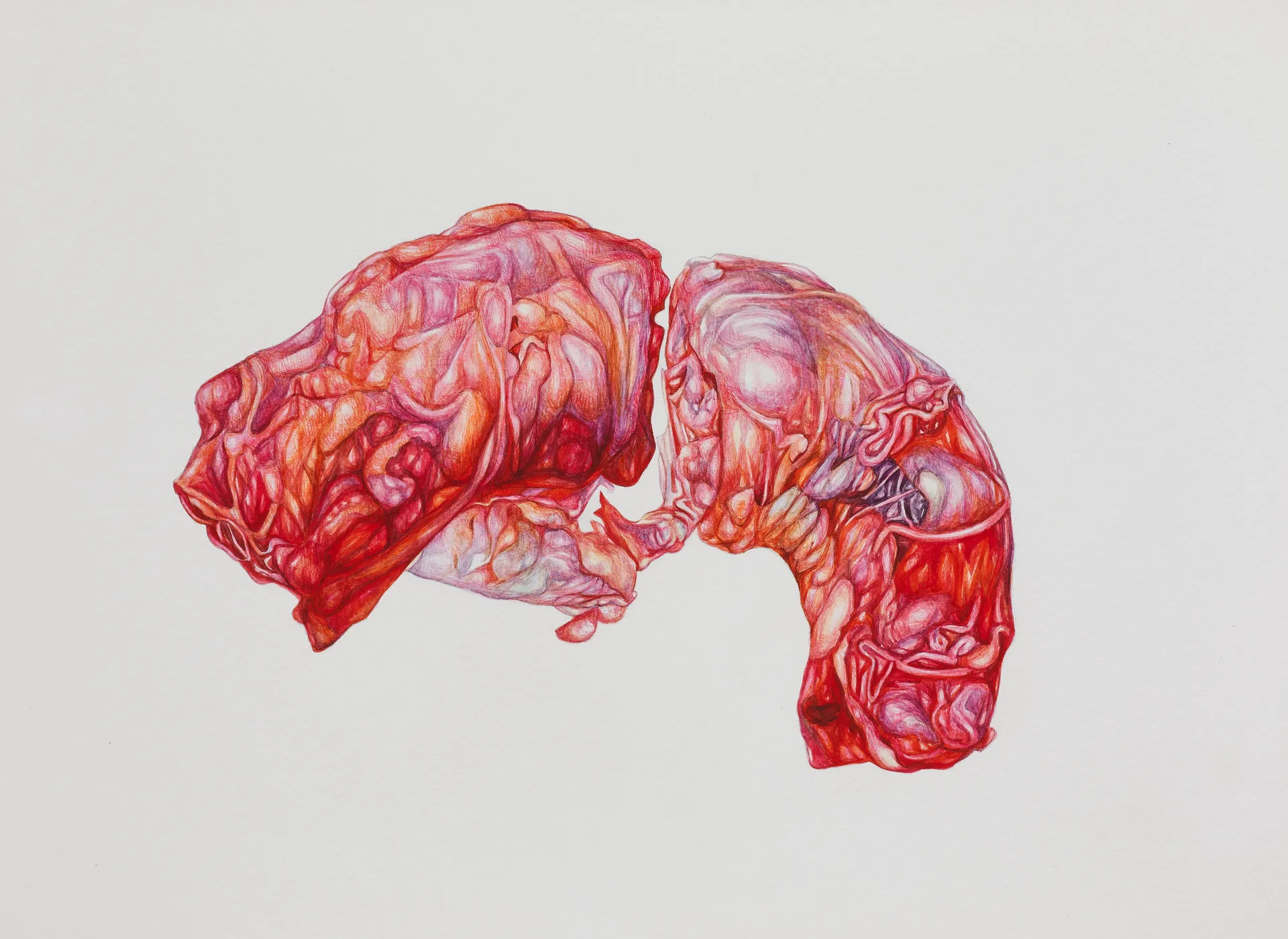 Still, the wrinkled outside remained calm by Nabanita Guha - Watercolor on Fabriano paper