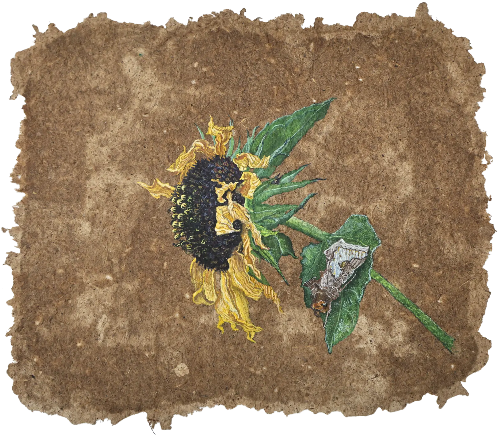 Parchavam-II, ਪਰਛਾਵਾਂ-II, 12 by Gurdeep Brar - Gouache on artist-made paper with dried flowers