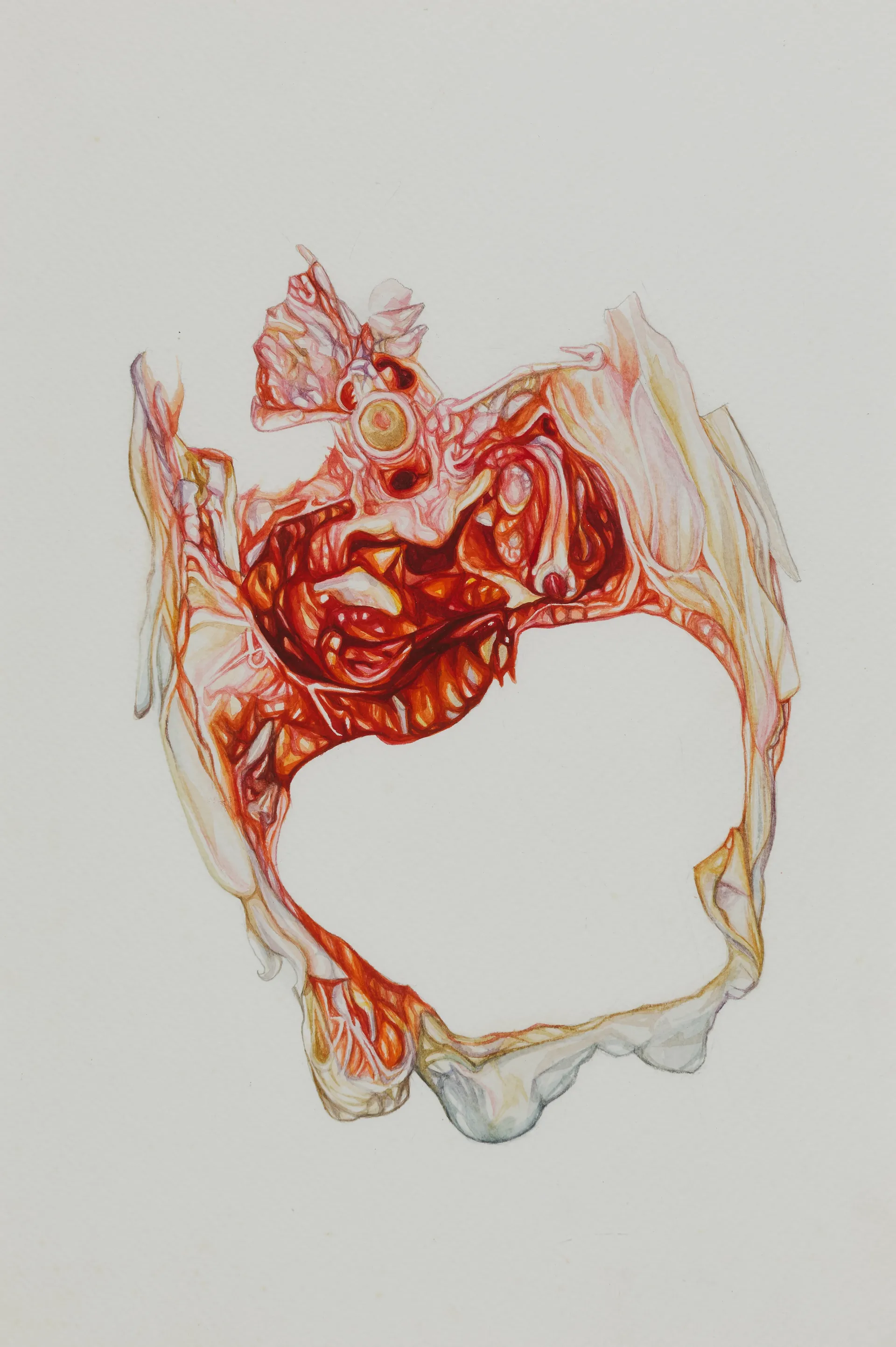 Thin and frail, the winglets encircled the void by Nabanita Guha - Watercolor on Fabriano paper