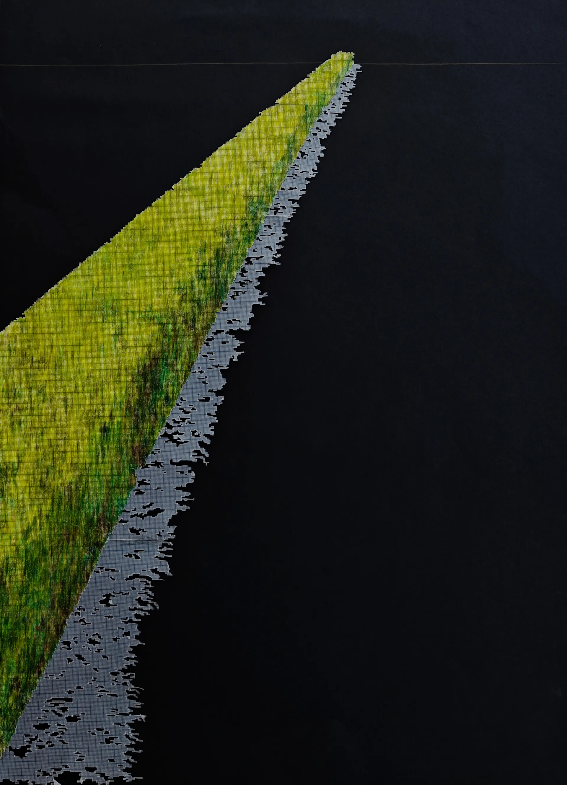 Untitled by Bhavana Parakh - Graph sheet and coloured pencil on paper