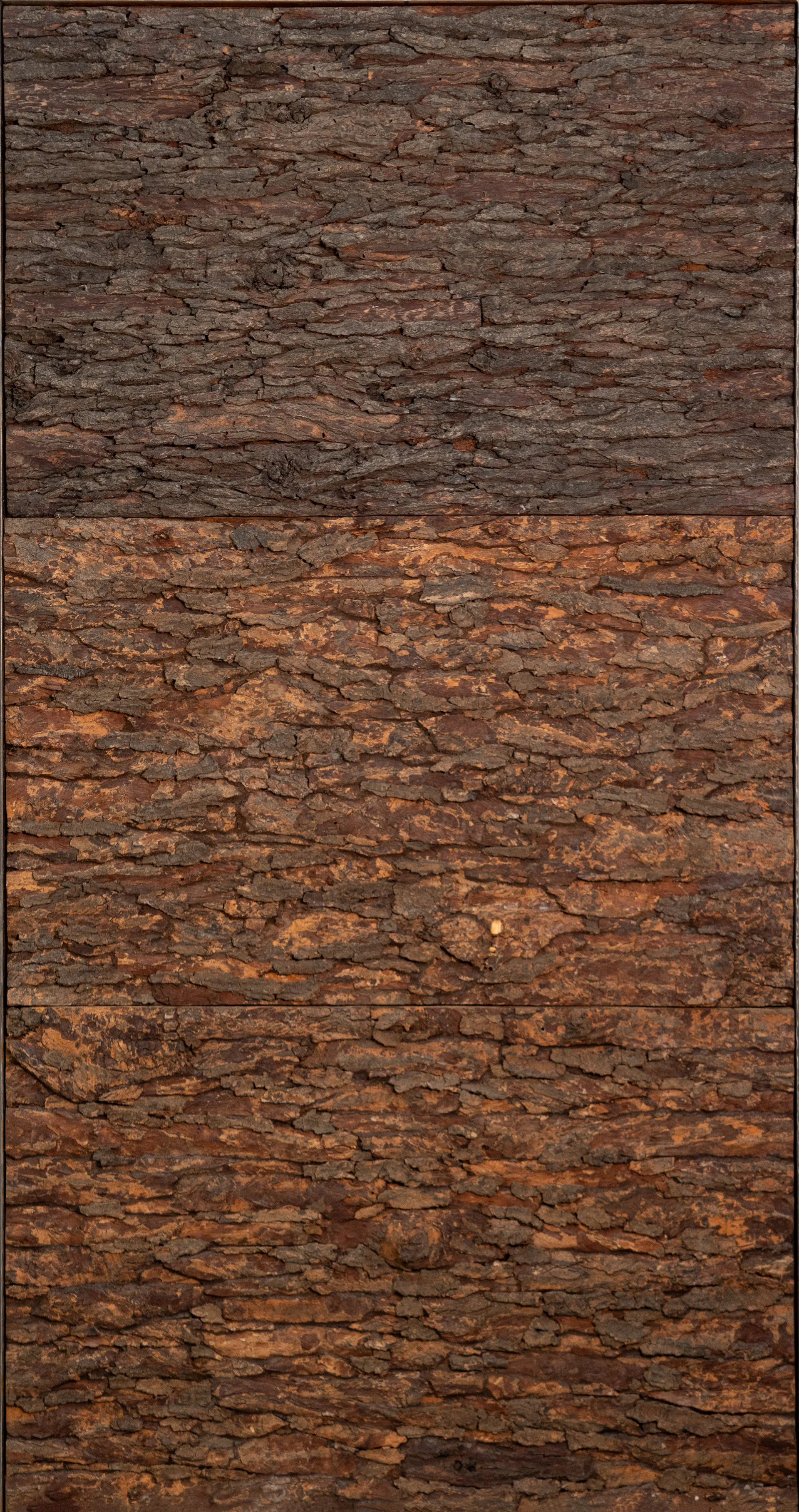 Flatness by Shailesh Ojha - Bark, Wood, Iron