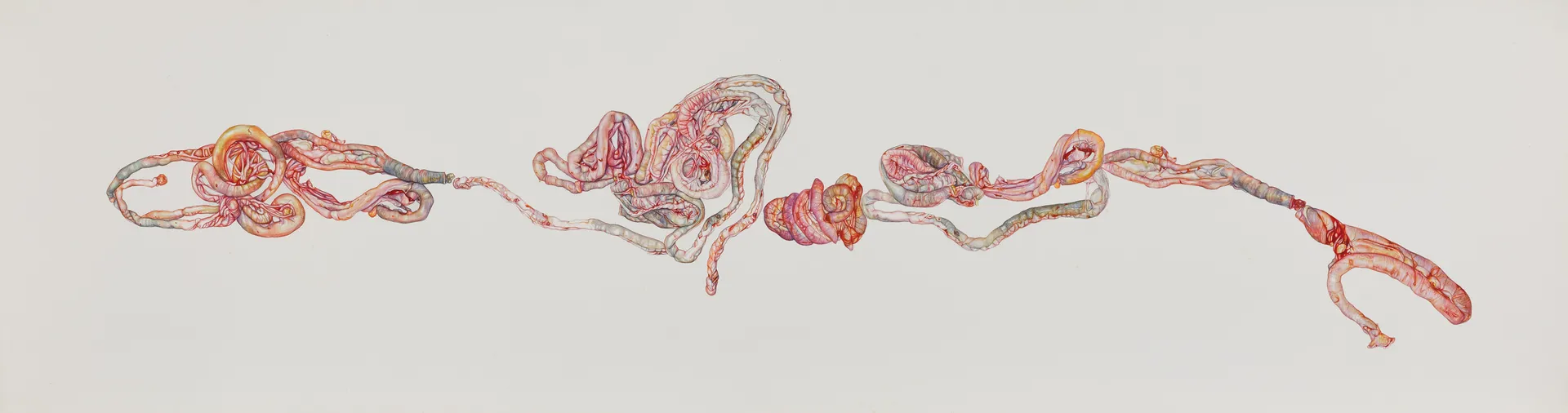 Enquiries into the vulgar: the succulent folds of moist reluctance, the licentious flatulent blurt, and the wrinkled intimacy of greasy frontiers as I smell my mouth by Nabanita Guha - Watercolor on Fabriano paper