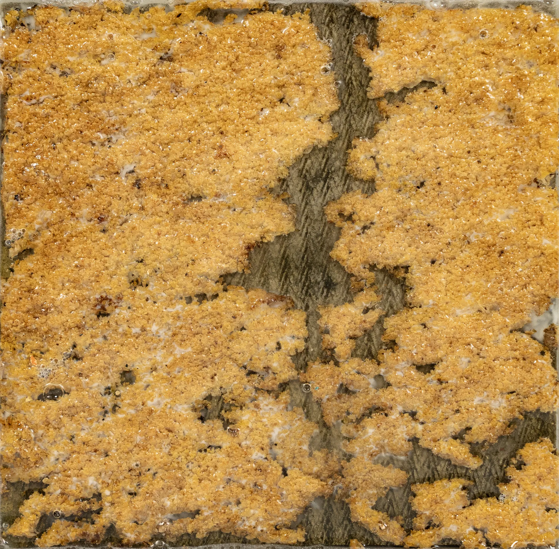 Moss series, 3 by Gurdeep Brar - Epoxy resin and moss on a C4X block