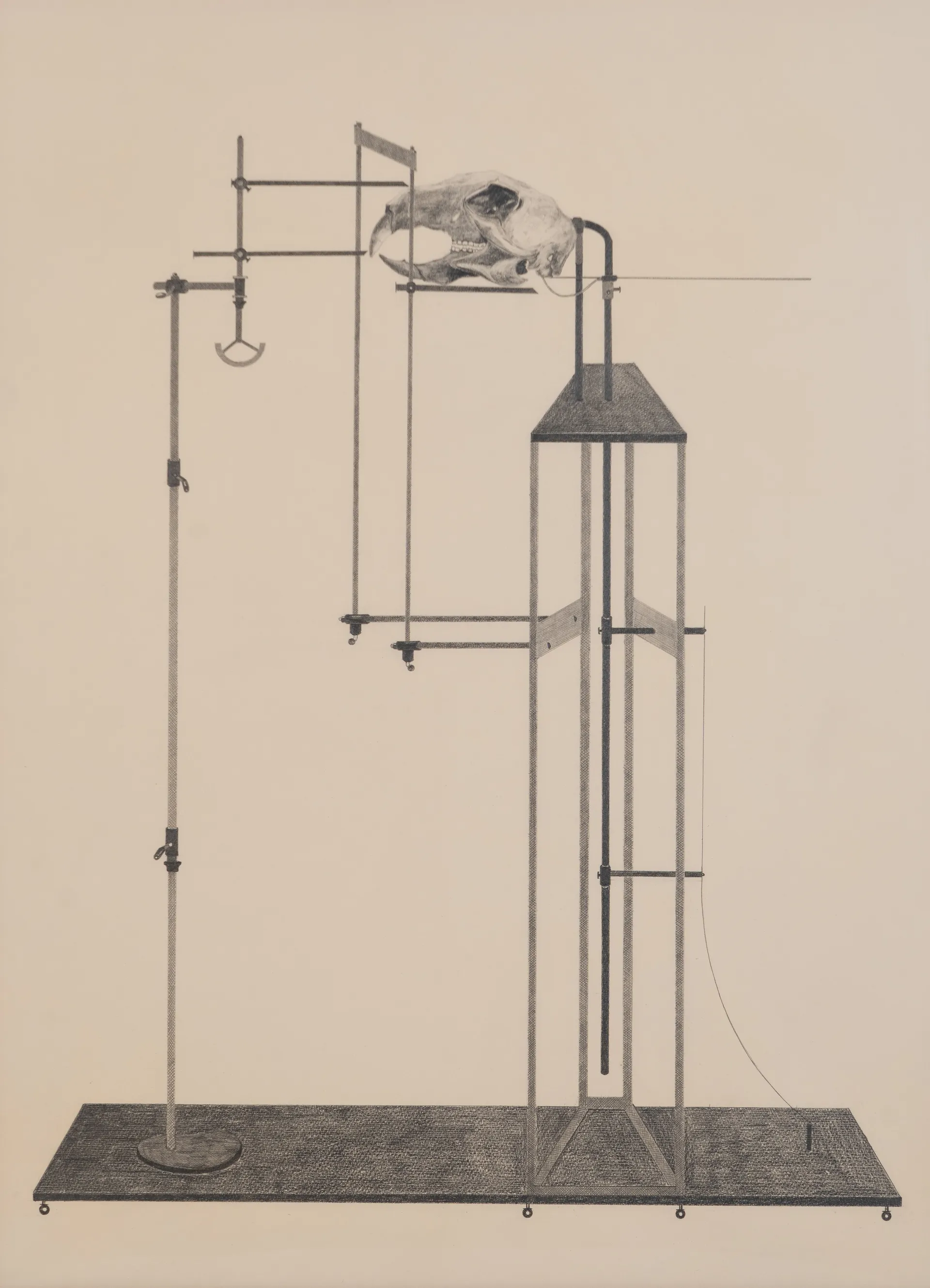 Untitled by Abin Sreedharan - Graphite on paper