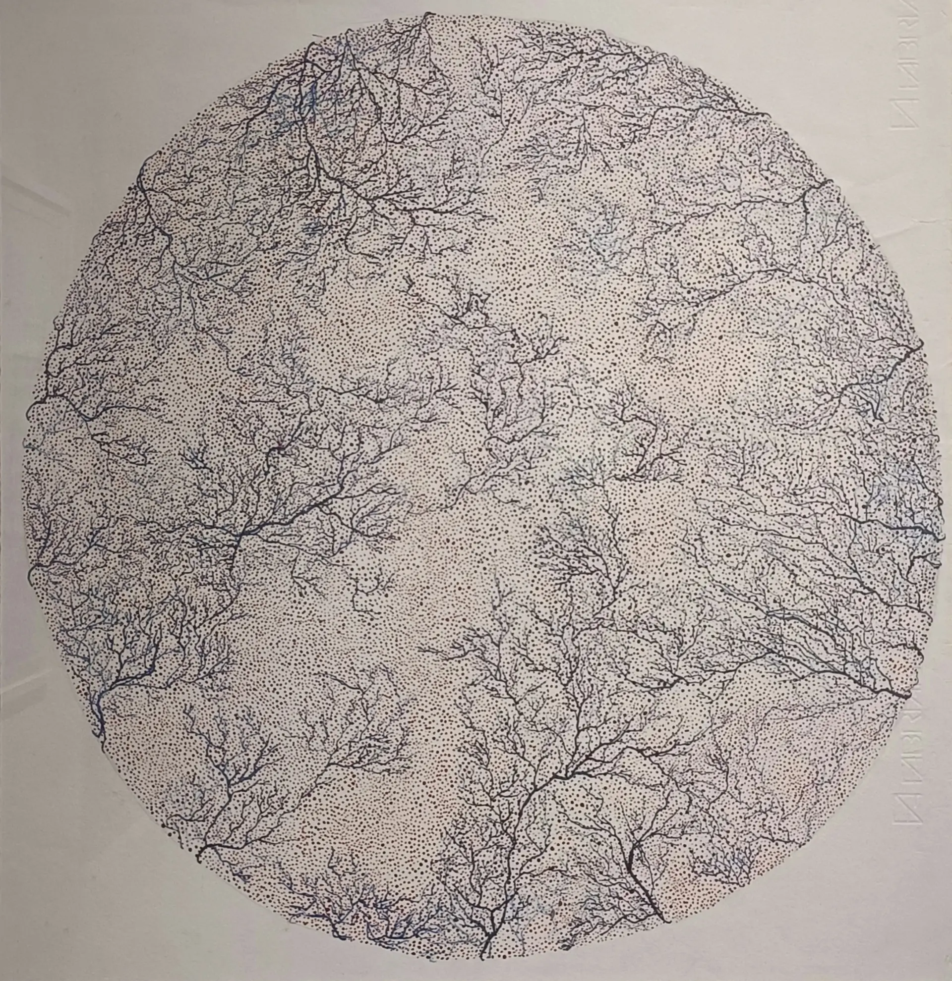 Untitled by Bhavana Parakh - Acrylic and watercolor on Fabriano paper