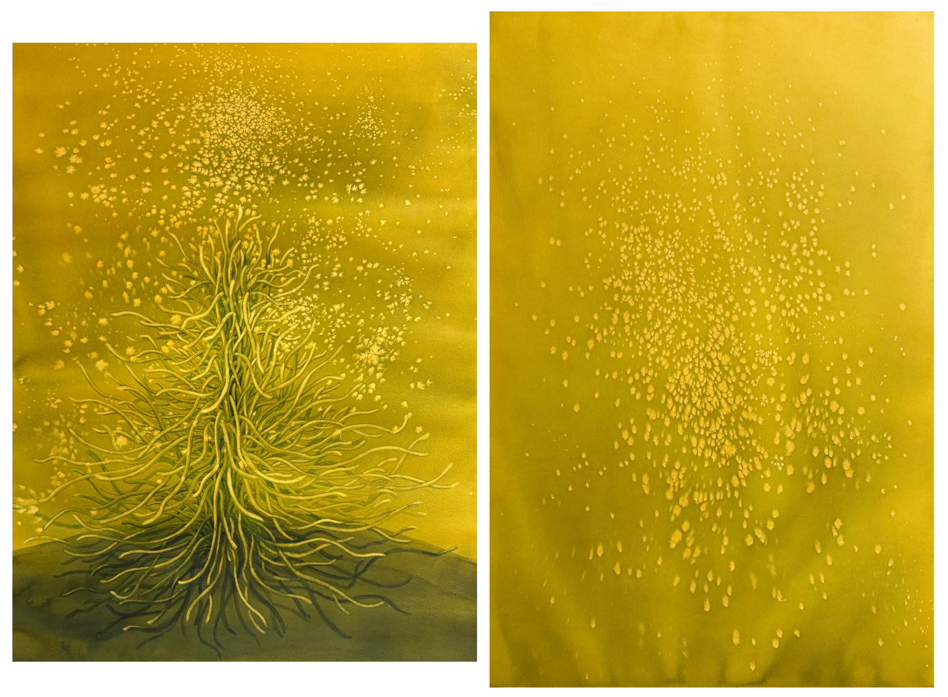 Ephemeral XII (diptych) by Sonali Sonam - Watercolor on paper
