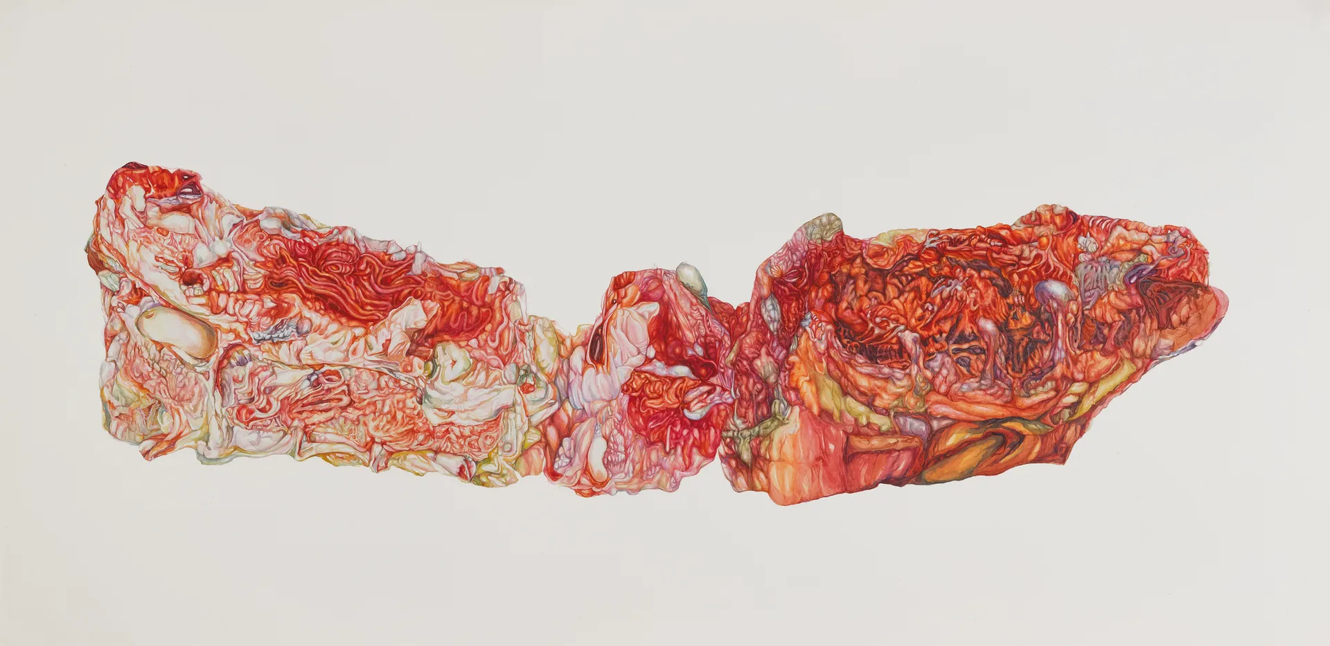 Recum infundibula lamina: the hieronymus folly by Nabanita Guha - Watercolor on Fabriano paper