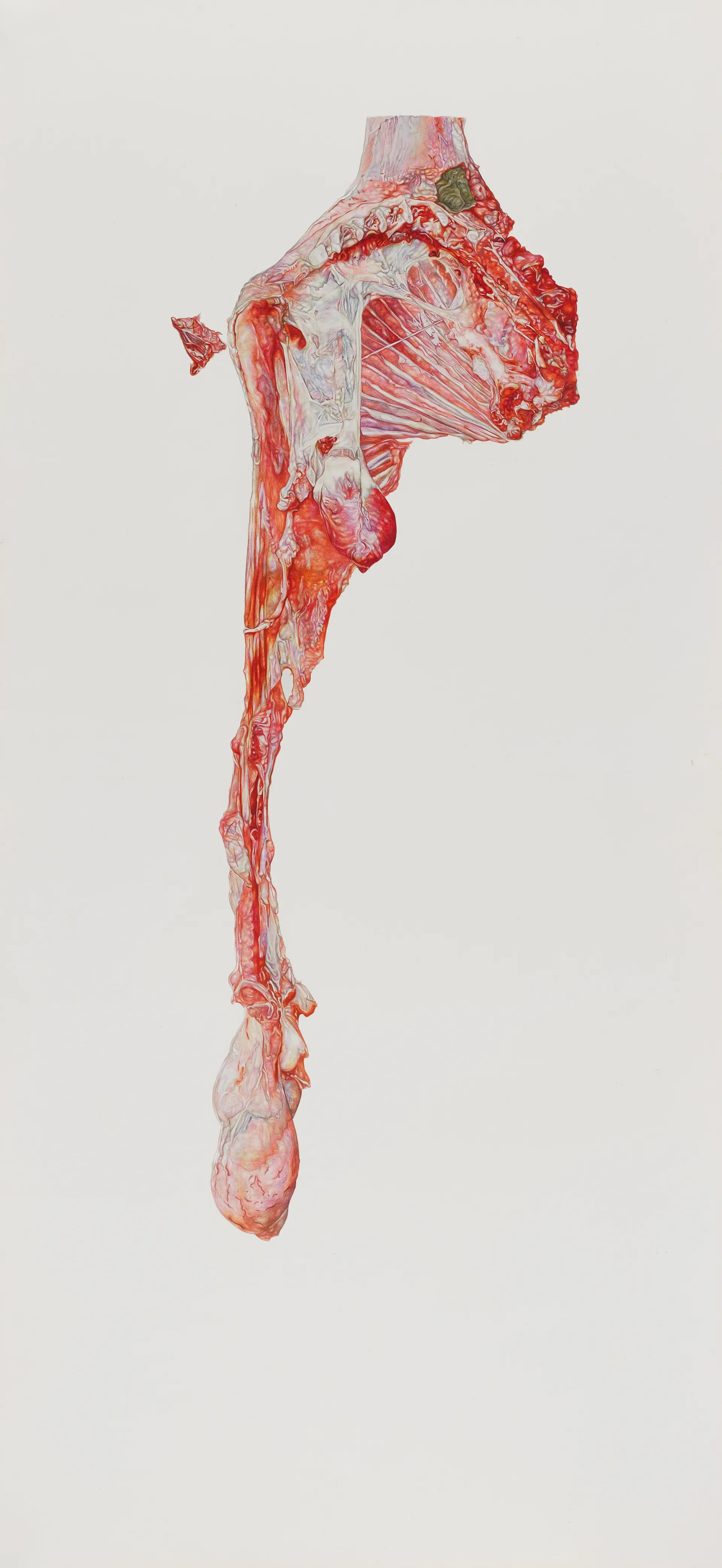 Smell me and fade away in the fringes by Nabanita Guha - Watercolor on Fabriano paper