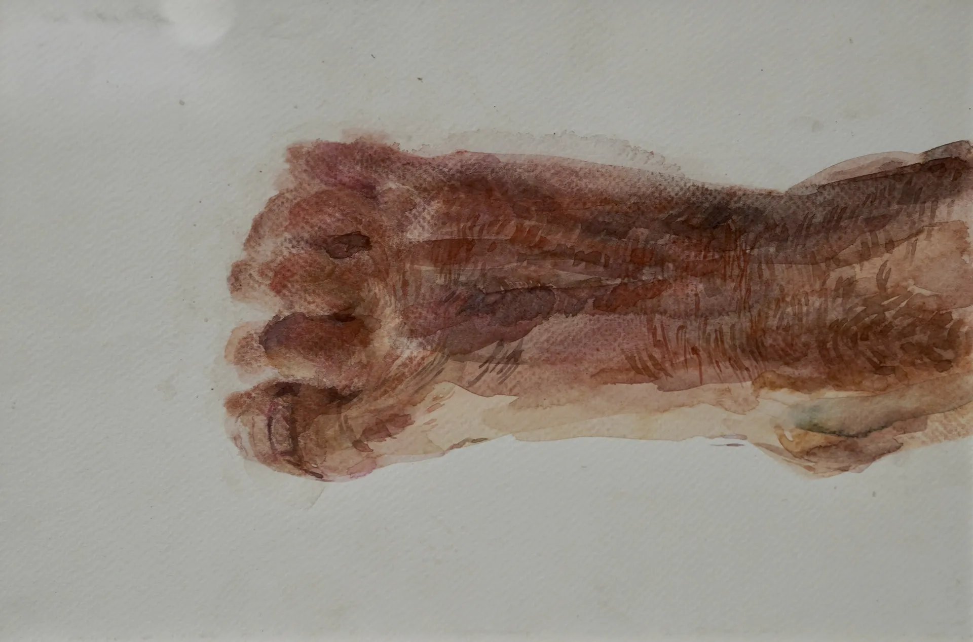 Skin deep, 1 by Jyotismriti Bordoloi - Watercolor on paper