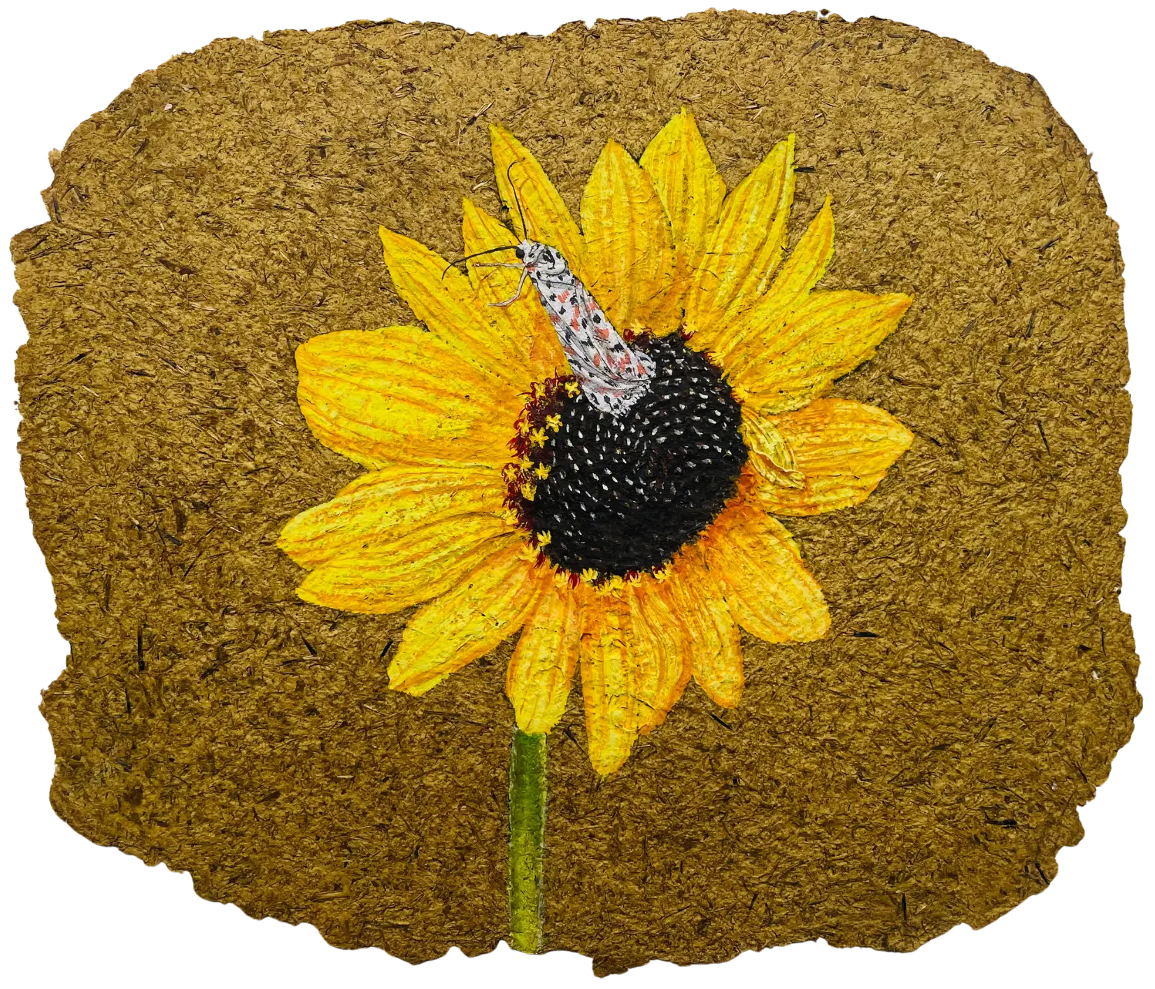 Parchavam-II, ਪਰਛਾਵਾਂ-II, 3 by Gurdeep Brar - Gouache on artist-made paper with dried flowers