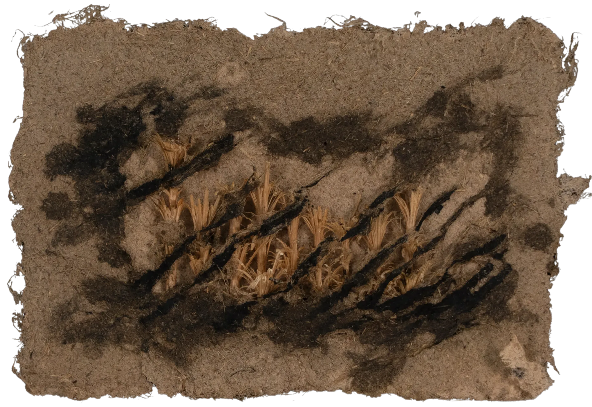 Surface of silence 1 by Manjit Gogoi - Mixed media (water hyacinth pulp, bamboo, fishing thread on water hyacinth paper)