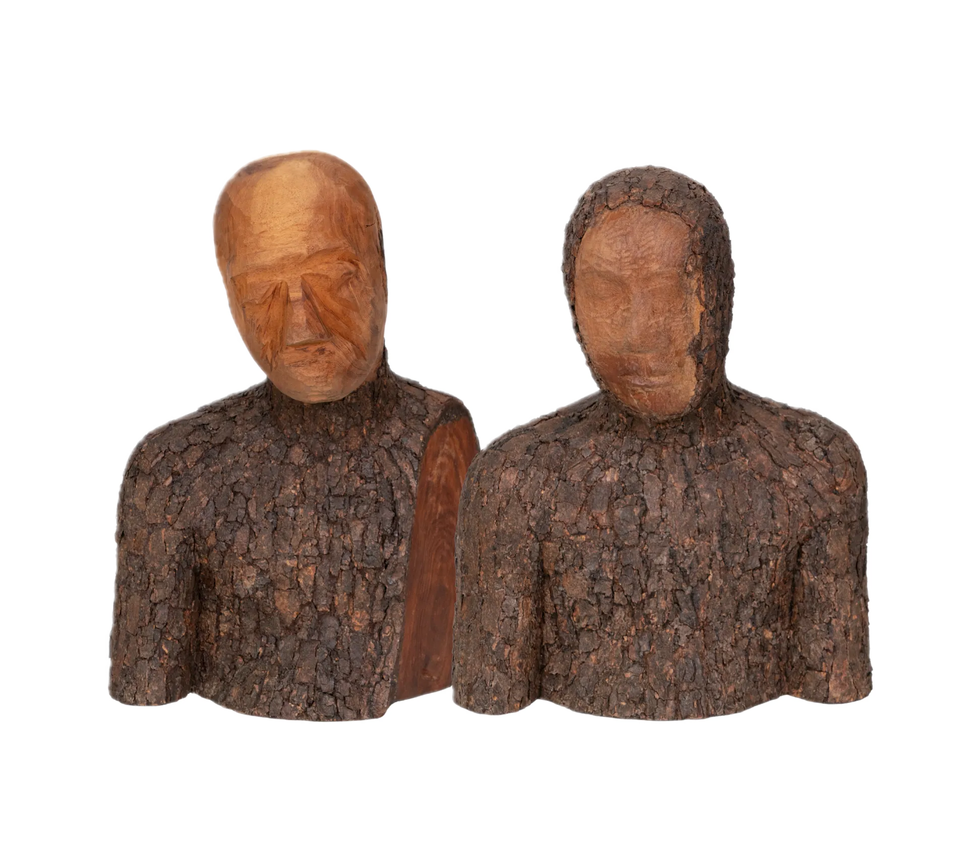 My double by Shailesh Ojha - Bark, wood, fibreglass
