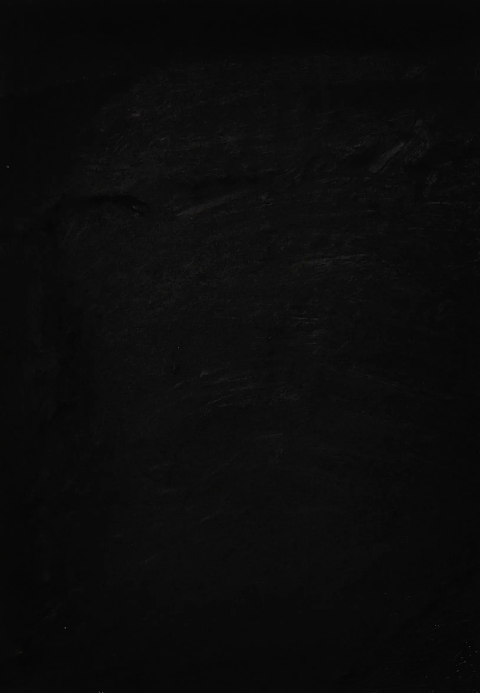 Untitled by Kshetrimayum Gopinath Singh - Charcoal on paper