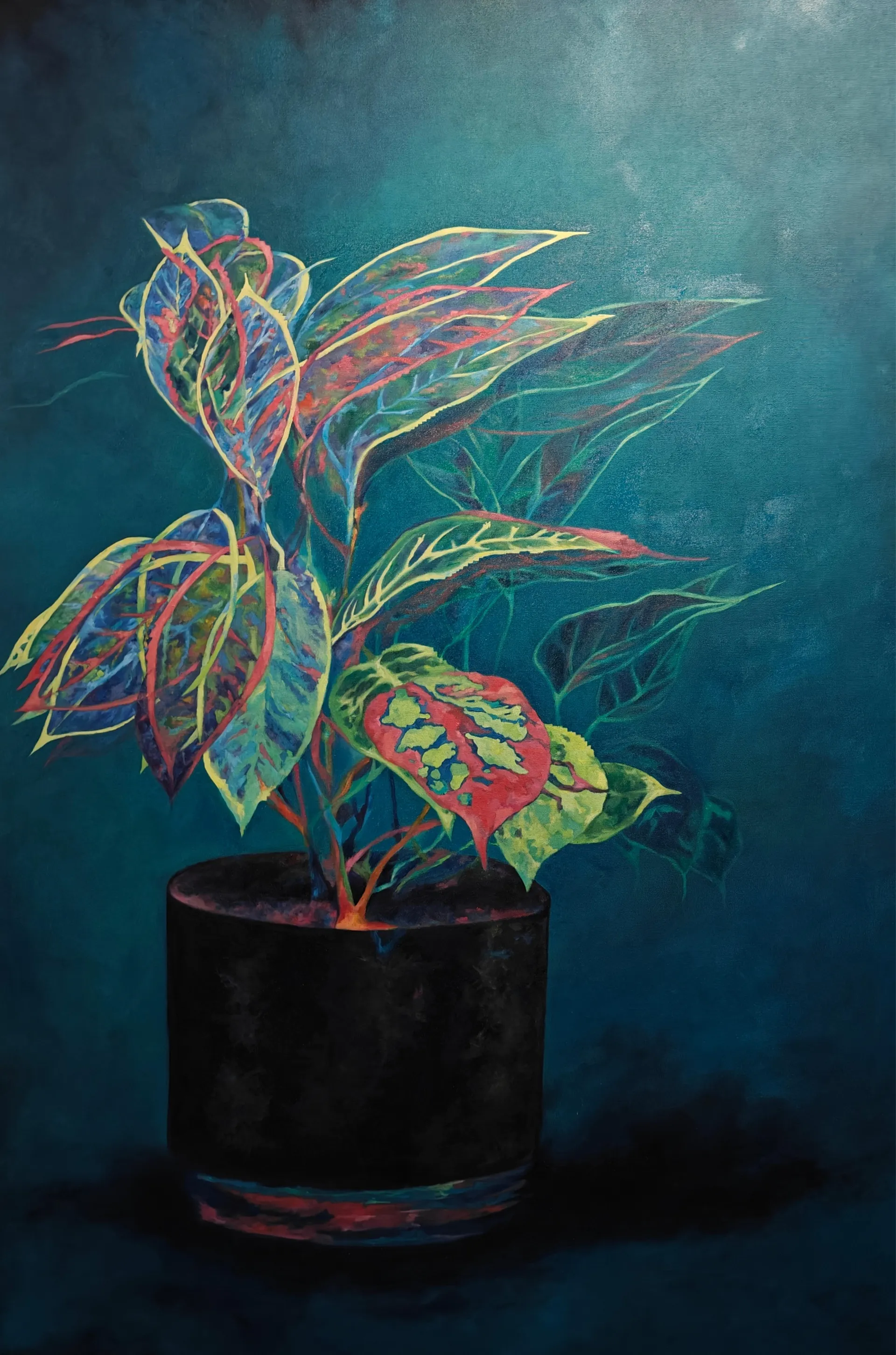 Untitled by Bhavana Parakh - Oil paint on canvas