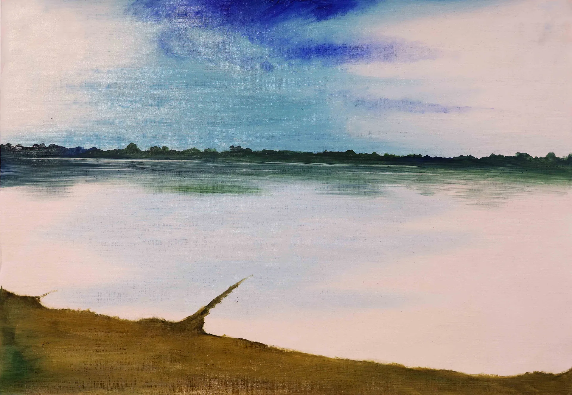 दिखावा है, सच्चाई कहाँ? (It's all show, where's the truth?) by Shiv Shankar - Oil on paper