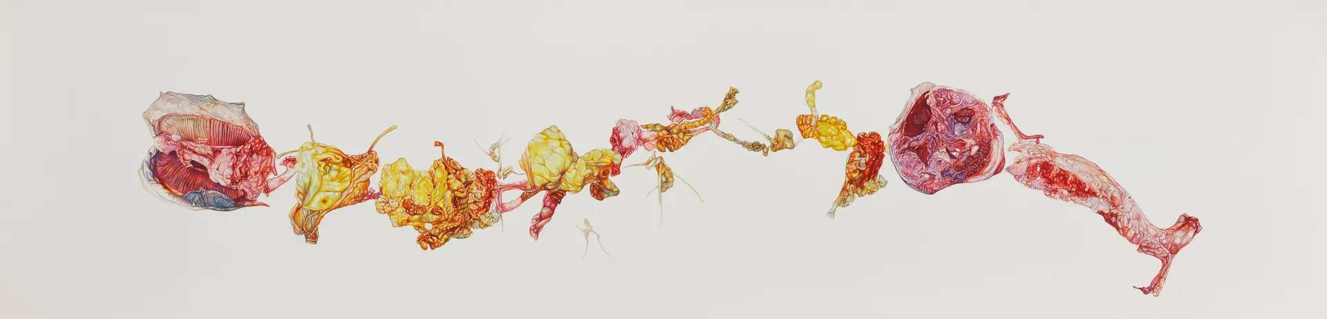 The spoils of the sea of hispaniola and the irresistible unhurried rambling of the ampulla of vater by Nabanita Guha - Watercolor on Fabriano paper