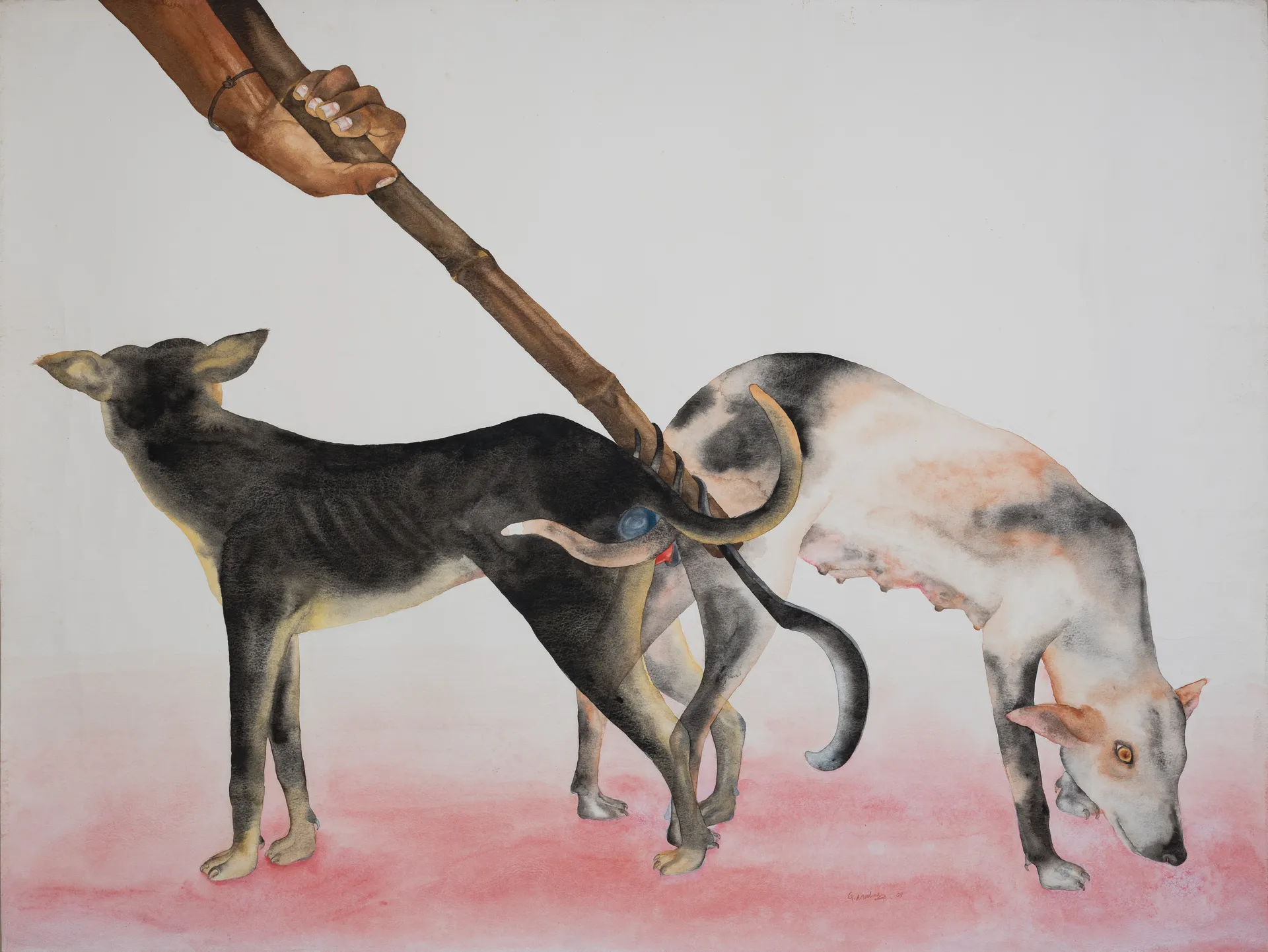 Dogs mating by G. Mahesha - Watercolor on Bockingford paper