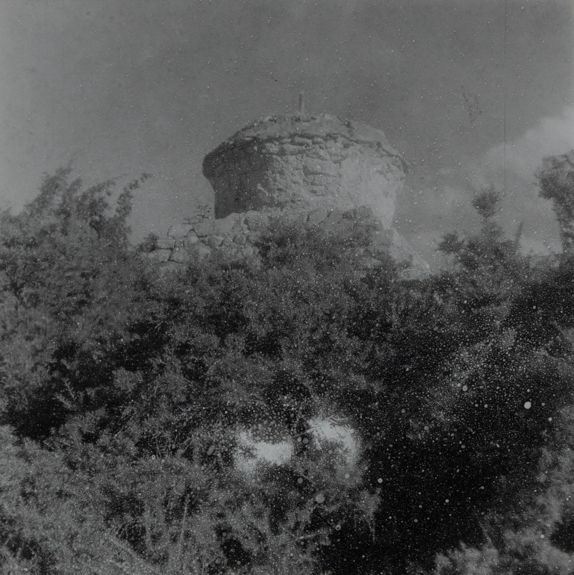 Sacred scapes by Ayan Biswas - Oroxylum indicum seeds placed on silver gelatin print, pearl finish