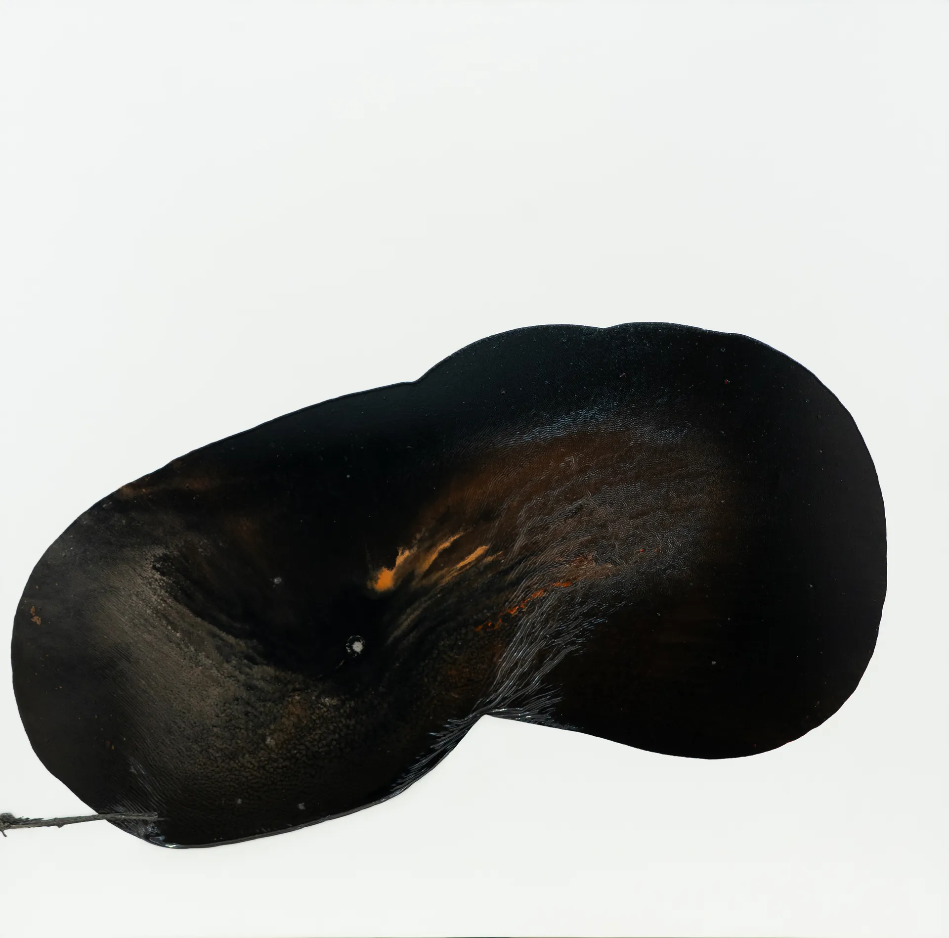 Melting landscape 2 by Pankaj Vishwakarma - Enamel paint and varnish on canvas