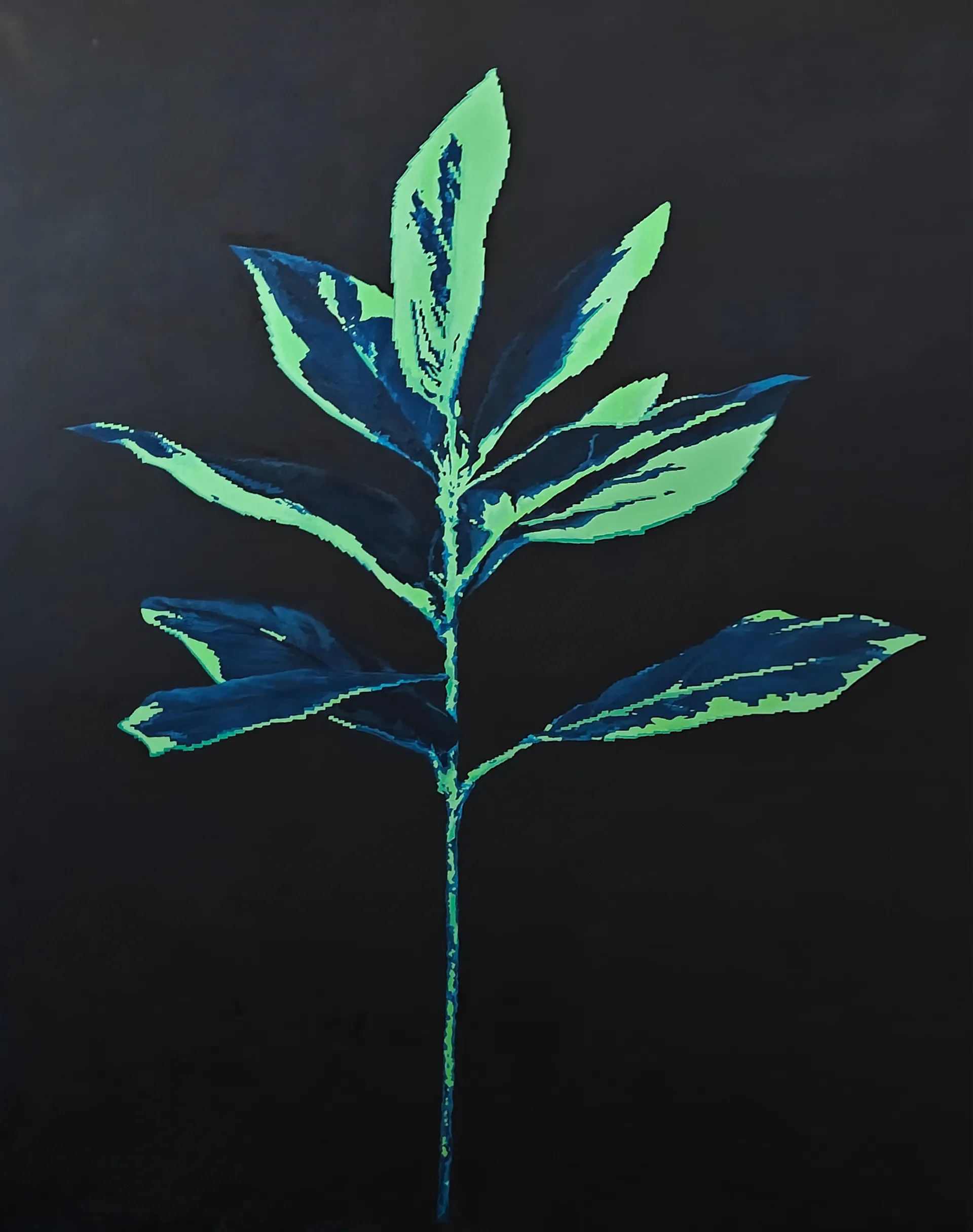 Life still loading by Bhavana Parakh - Oil paint on canvas