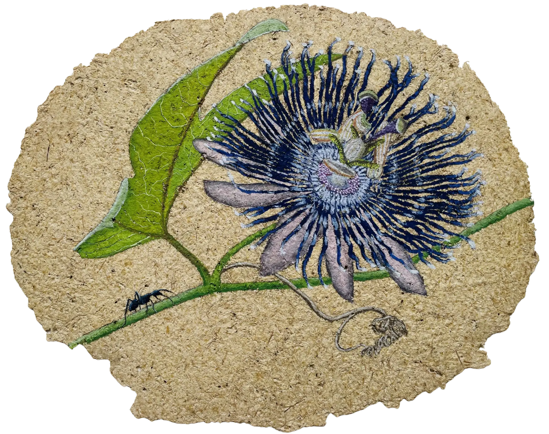 Parchavam-II, ਪਰਛਾਵਾਂ-II, 10 by Gurdeep Brar - Gouache on artist-made paper with dried flowers