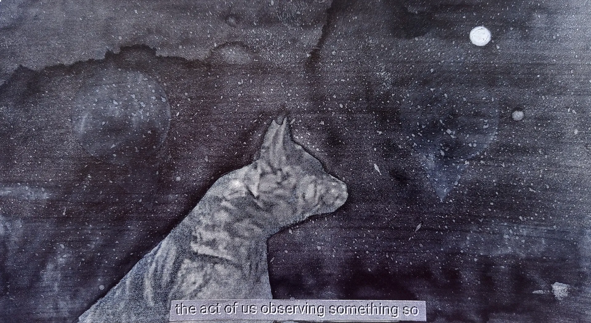 Schrodinger’s cat on a walk 30 by Ritesh Khowal - Ink, emulsion & acrylic on paper