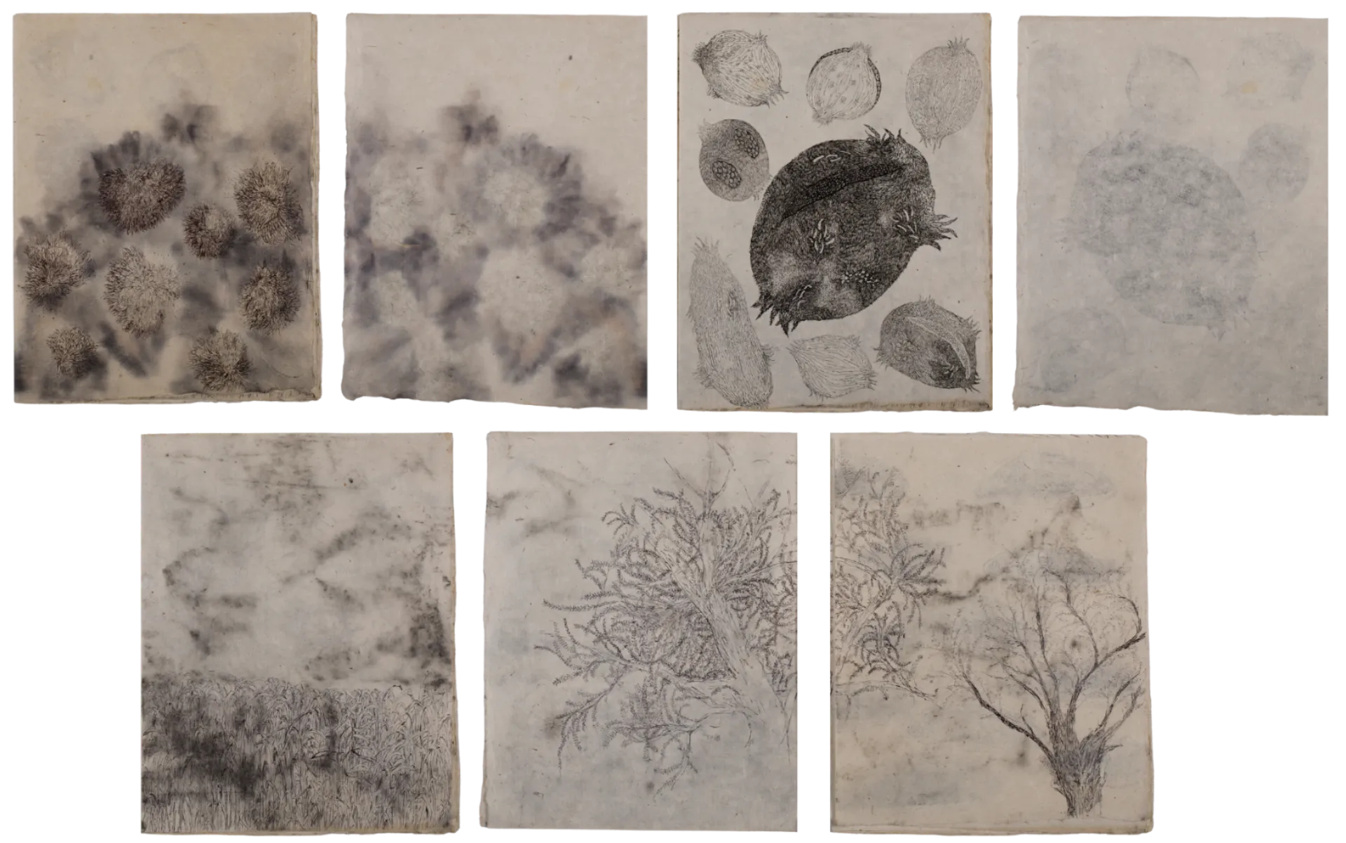 Untitled (Book 1) by Isha Itwala - Ink on rice paper