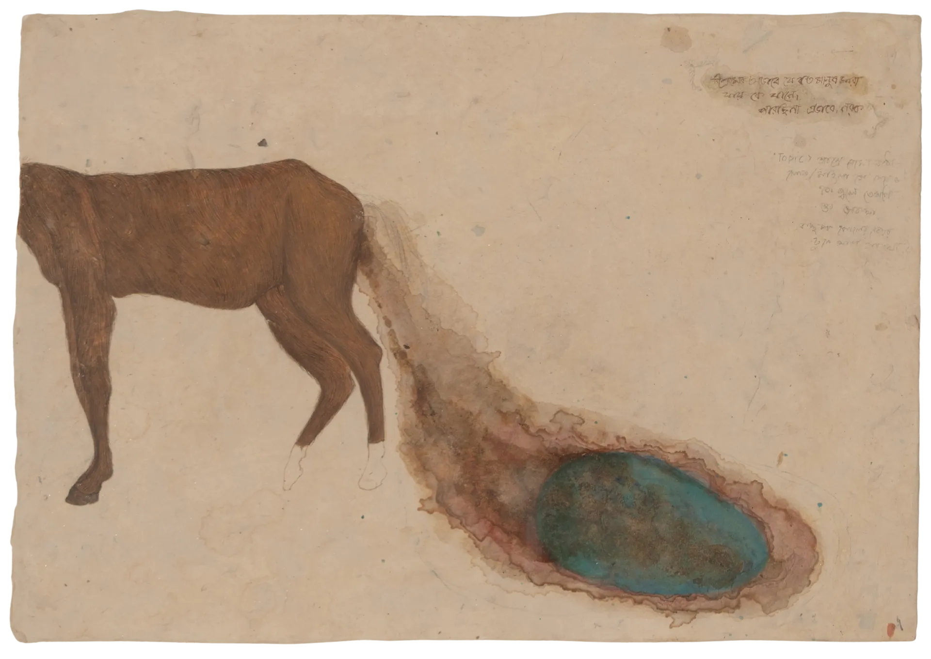 Horse’s egg by Oliva Saha - Natural colour, tea stain, alta dye on rice paper pasted on Fabiano