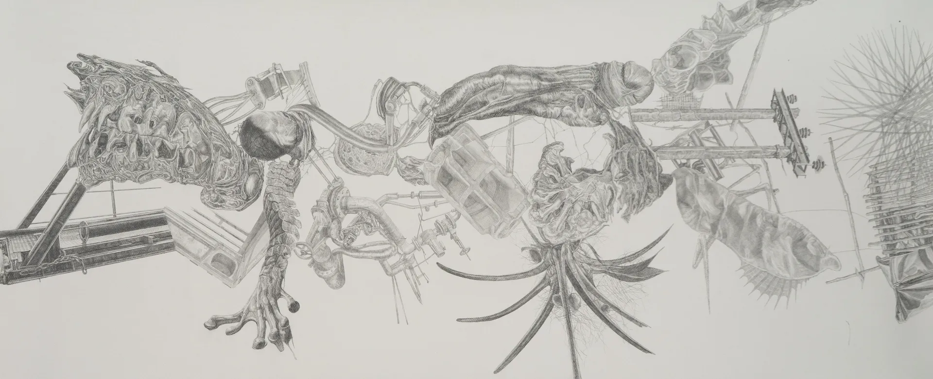 Things I swallowed by Nabanita Guha - Graphite on Fabriano Paper