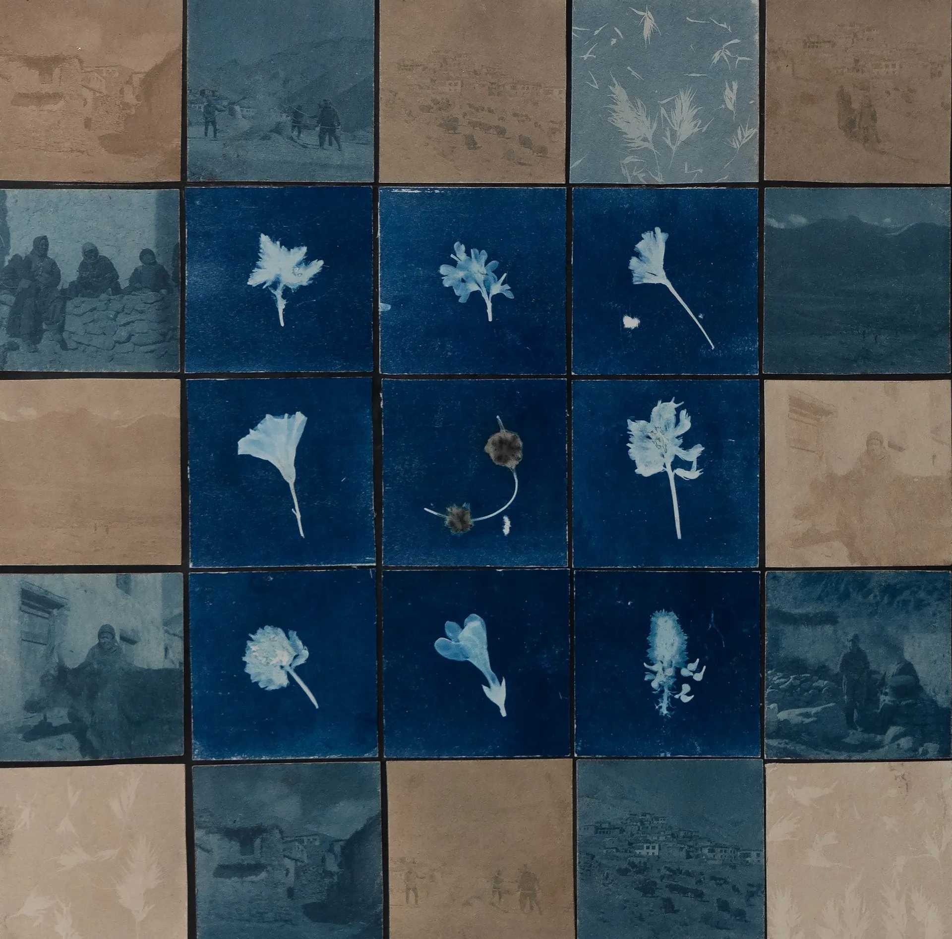 Sos ka (early summer) by Ayan Biswas - Toned cyanotype prints with local plants, and direct cyanotype prints of plants on watercolour paper