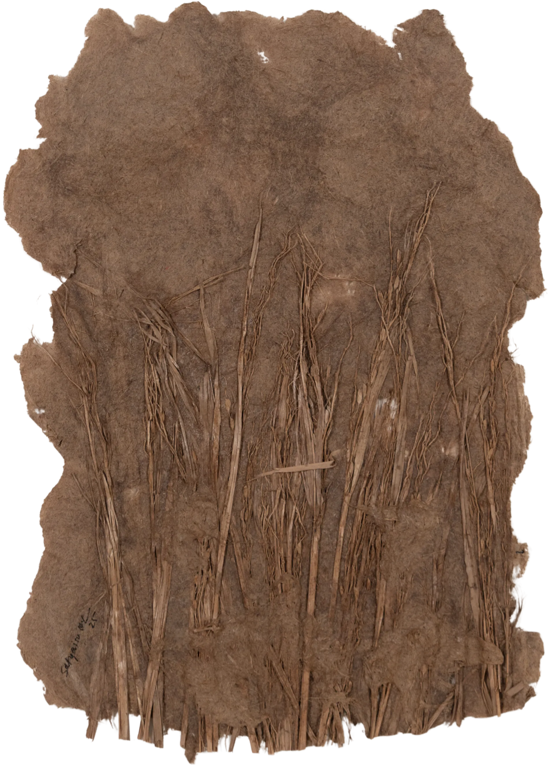 Survivor, 6 by Satyaranjan Das - Charcoal, watercolour, jute thread, paddy on handmade rice paper