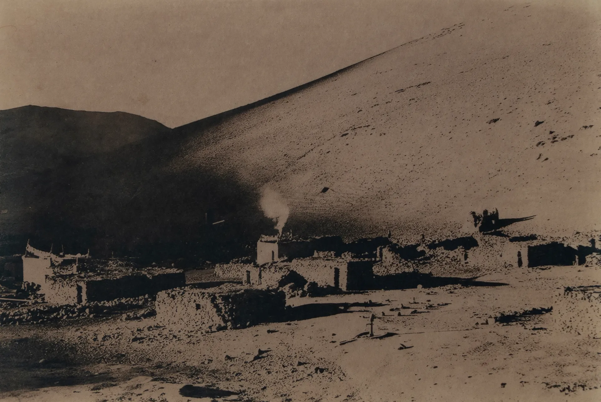 From the land of nomads- yagang camp, kharnak by Ayan Biswas - Toned with wild flowering plant Sporlo
