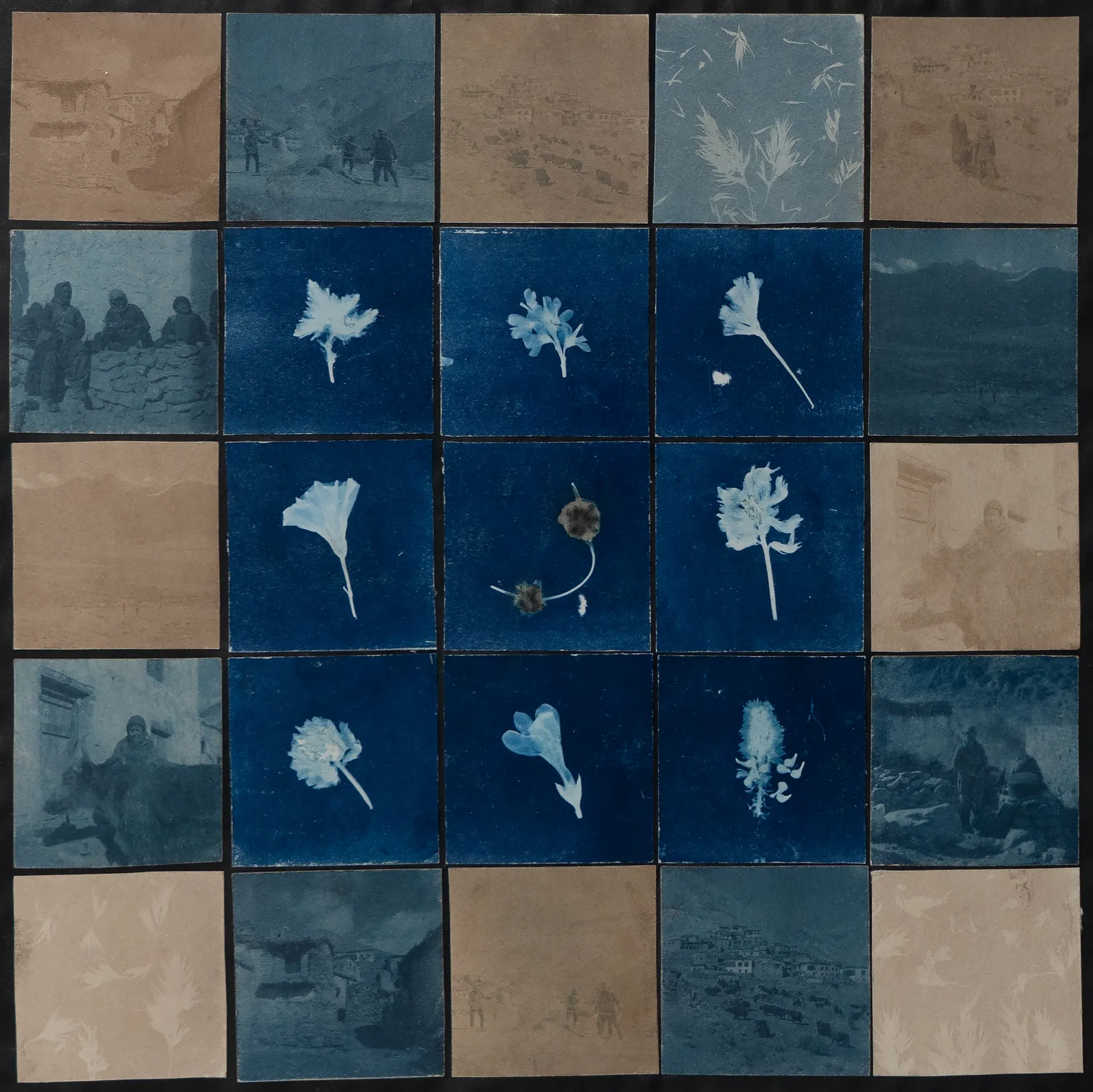 Sos ka (early summer) by Ayan Biswas - Toned cyanotype prints with local plants, and direct cyanotype prints of plants on watercolour paper