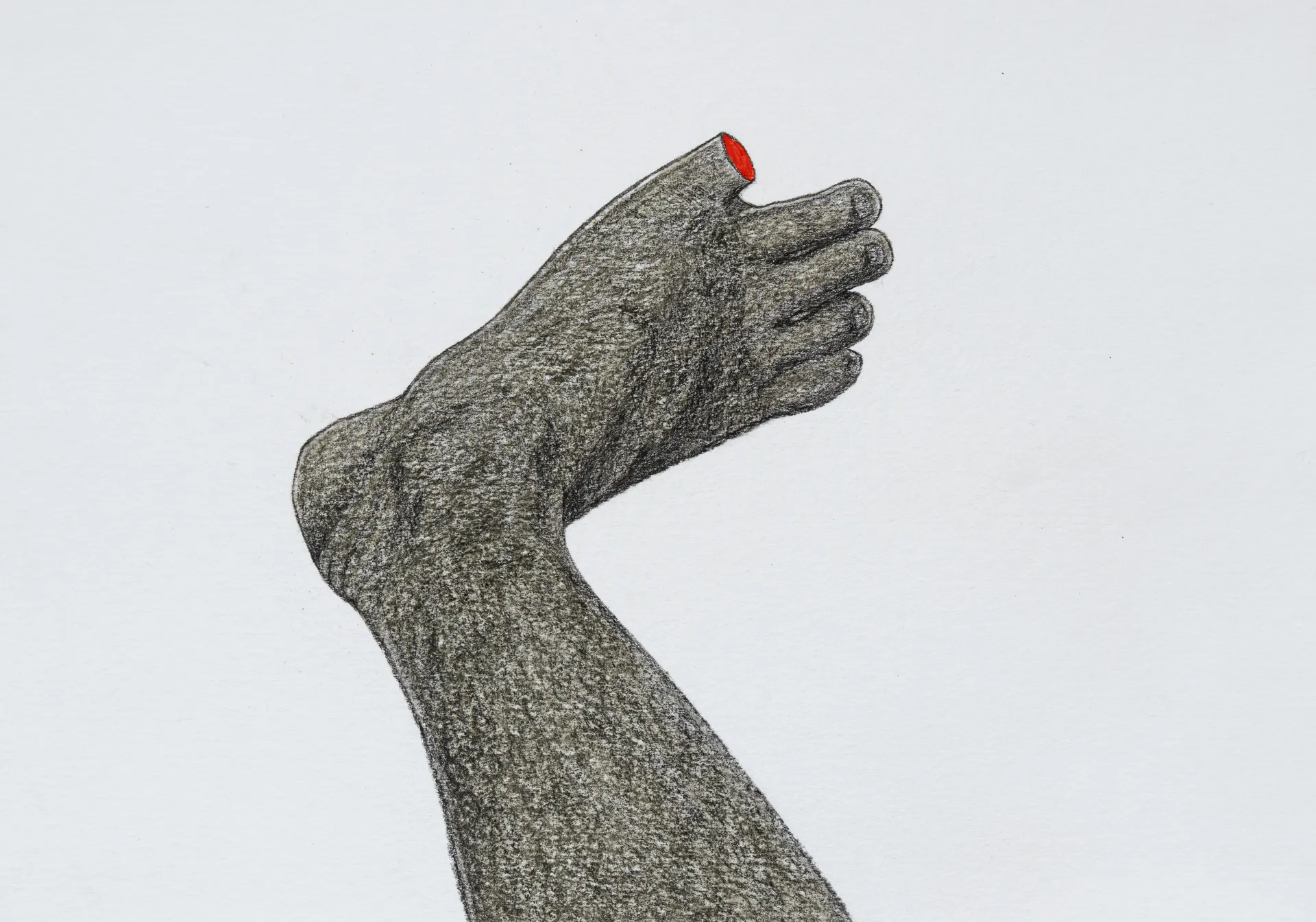 Untitled, 1 by Sumeshan K - Charcoal and dry pastel on paper