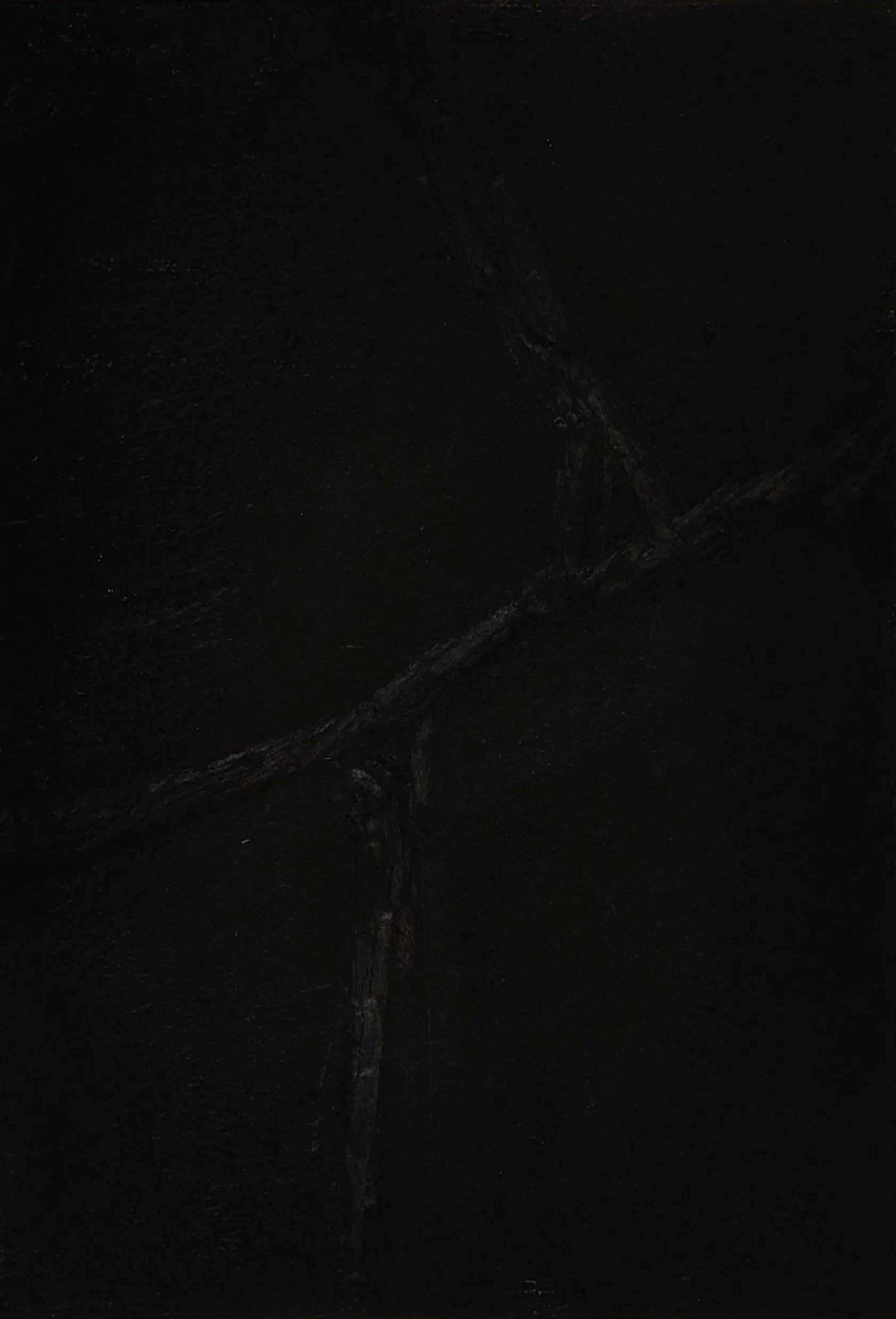 Untitled by Kshetrimayum Gopinath Singh - Charcoal on paper