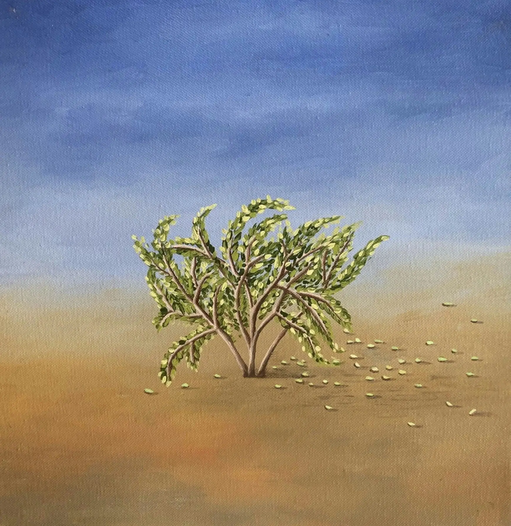 Untitled by Sarika Mehta - Oil on canvas